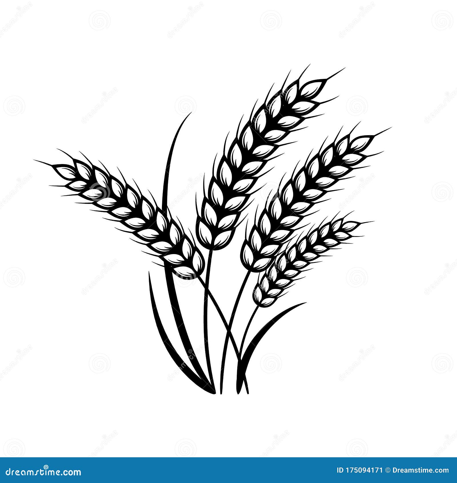小麦 大麦或黑麦矢量图图标向量例证 插画包括有动画片 平面 面筋 收获 农村 谷物 图标 小麦 大麦或黑麦矢量图图标向量例证 插画包括有动画片 平面 面筋 收获 农村 谷物 图标