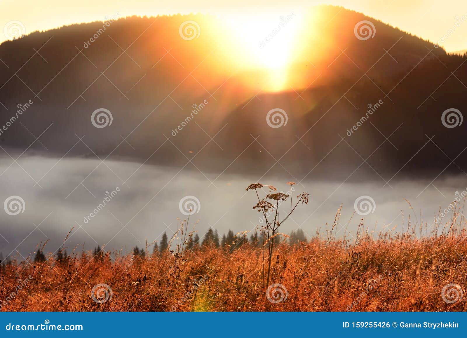 山中的黎明太阳从山顶升起 山谷下的雾库存照片 图片包括有严重 峰顶 中心 视图 阴云密布