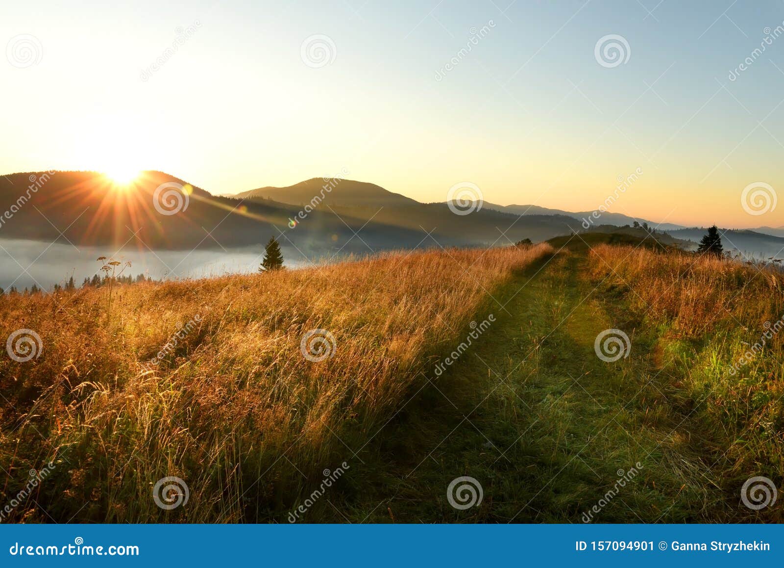 山里的美丽的日出 运行沿山的顶部的土路在日出的fr下模糊和针叶树库存图片 图片包括有针叶树 尘土