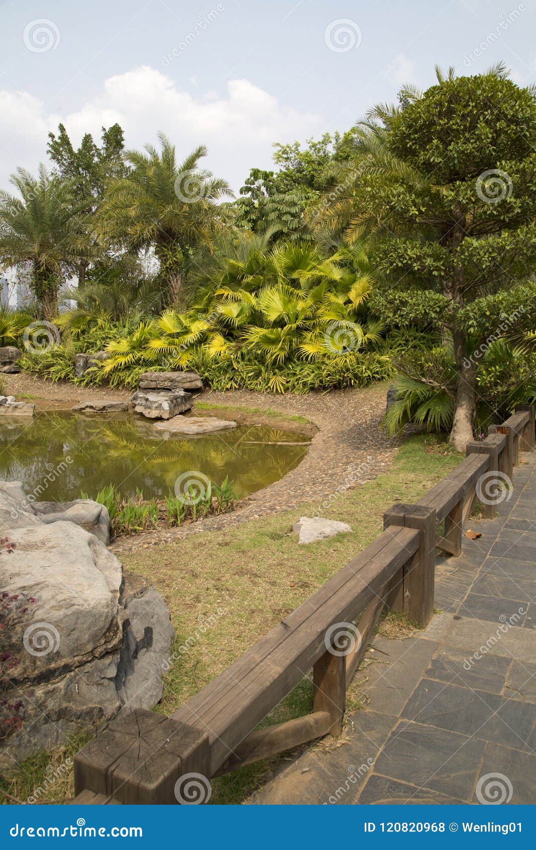 岩石 水槽和植物在公园安排了库存照片 图片包括有拱道 室外 从事园艺 生长 字段 绽放