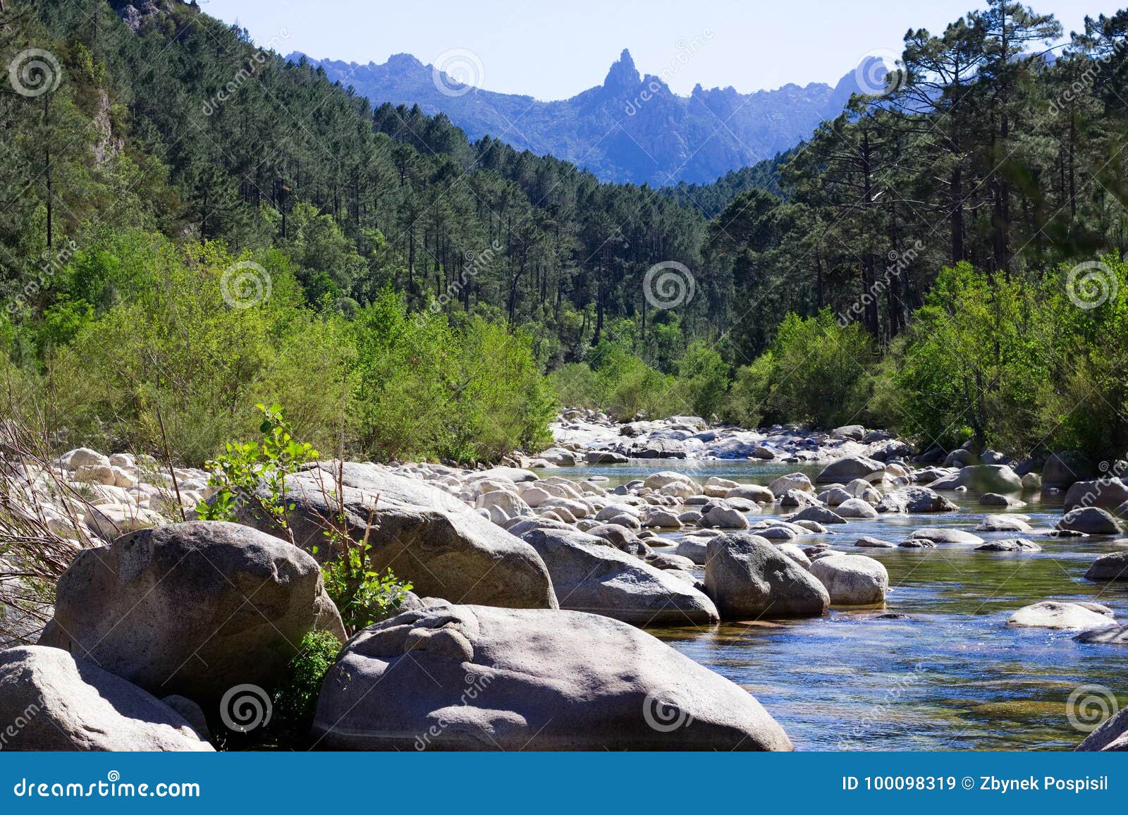 岩石小山的小河在彻尔de Bavella山 可西嘉岛库存图片 图片包括有