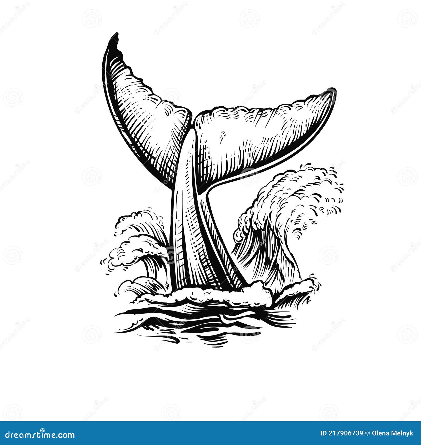 带渡线的鲸尾矢量图黑白插图 向量例证 插画包括有巨型 海洋 敌意 线路 附庸风雅 冒险家
