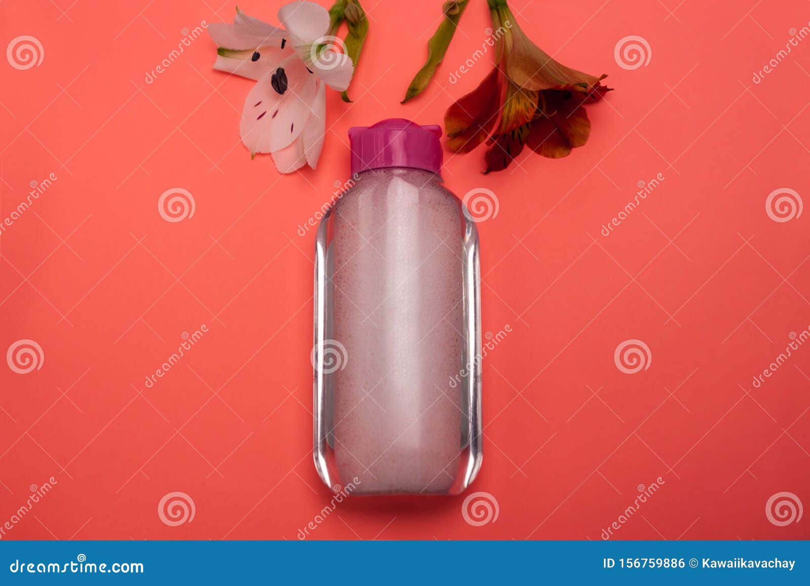 带花 清洁和化妆品的护肤化妆品瓶 顶视图 柔和色背景 极简主义库存照片 图片包括有颜色 平面 带花 清洁和化妆品的护肤化妆品瓶 顶视图 柔和色背景 极简主义库存照片 图片包括有颜色 平面