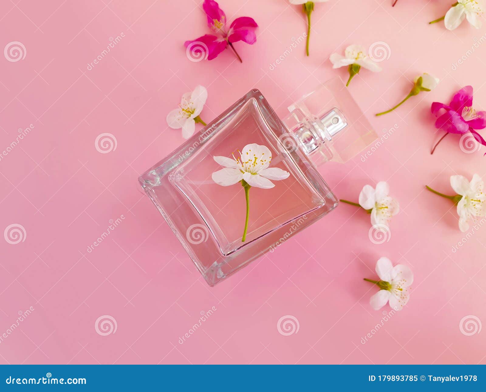 带香水的瓶子 彩色背景上美丽的花库存图片 图片包括有女性 雾化 香水 容器 上色 精华 带香水的瓶子 彩色背景上美丽的花库存图片 图片包括有女性 雾化 香水 容器 上色 精华