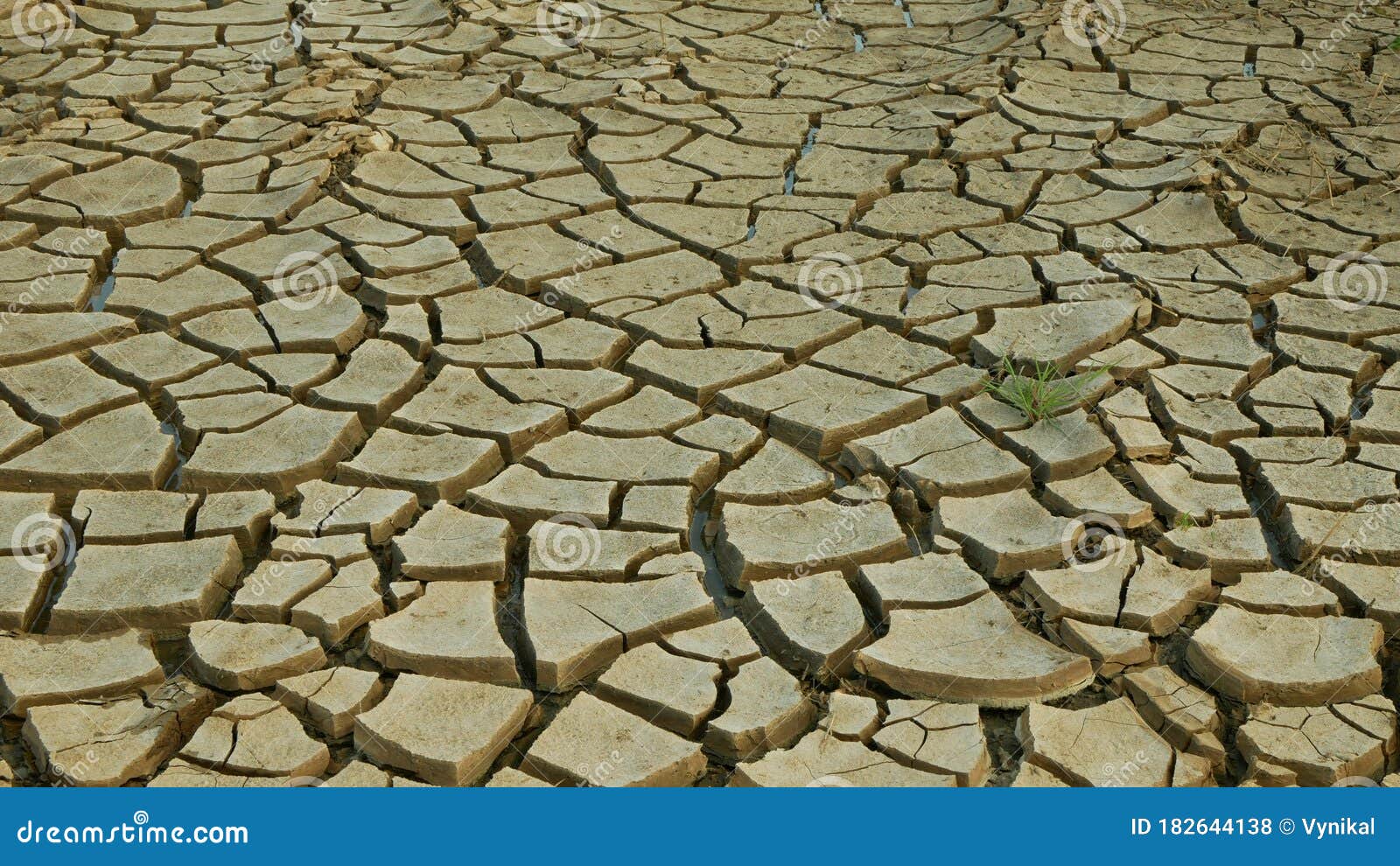 干旱裂化池塘湿地 沼泽地对土壤壳地球气候变化 环境灾害和地裂缝的严重干燥库存照片 图片包括有死亡 欧洲