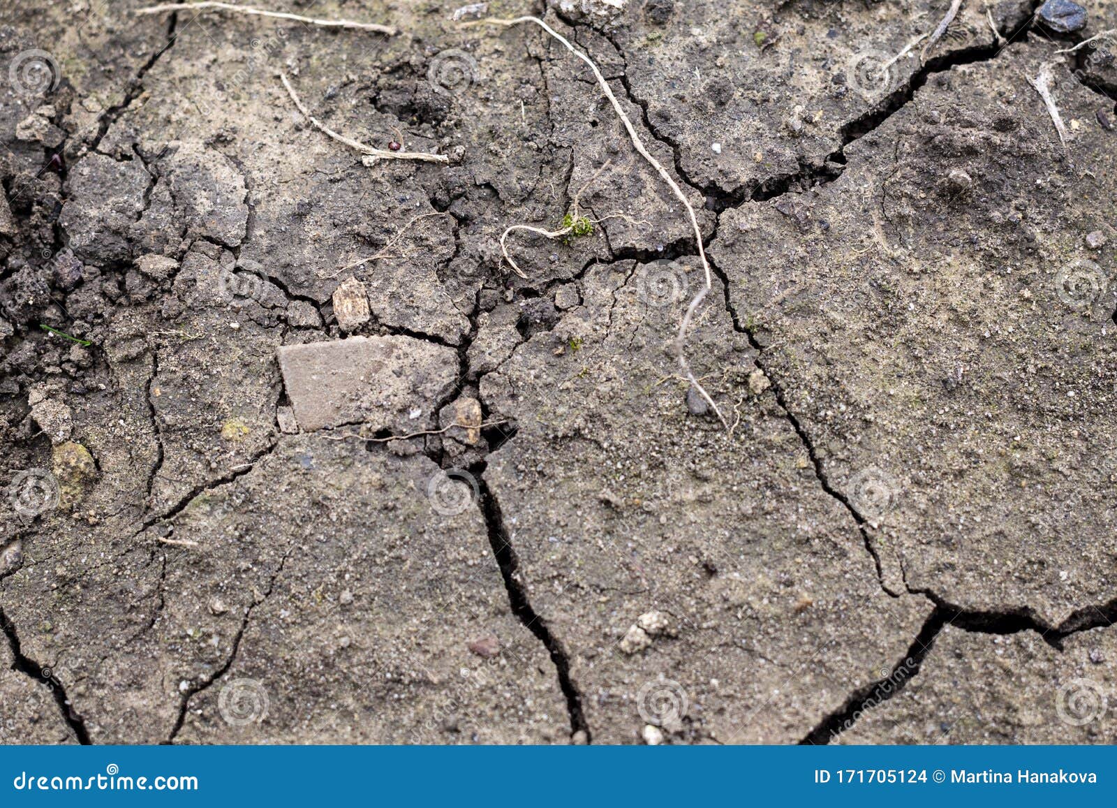 干燥由于污染和全球变暖 干地裂开库存照片 图片包括有地质 灾害 经纪 地产 格朗基 气候