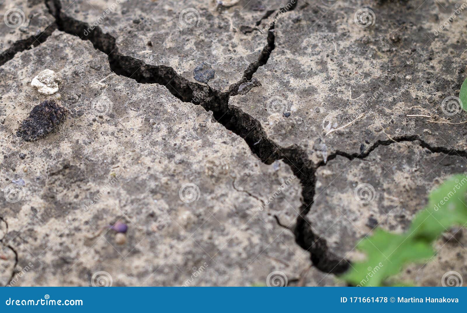 干燥由于污染和全球变暖 干地裂开干燥土壤中生长的小绿植物库存照片 图片包括有灾害 天旱