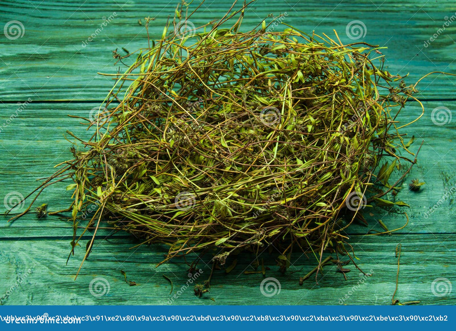 干草巢 一束在木背景的干草库存照片 图片包括有橡木 绿色 发狂 烘干 本质 减速火箭 垃圾 干草巢 一束在木背景的干草库存照片 图片包括有橡木 绿色 发狂 烘干 本质 减速火箭 垃圾