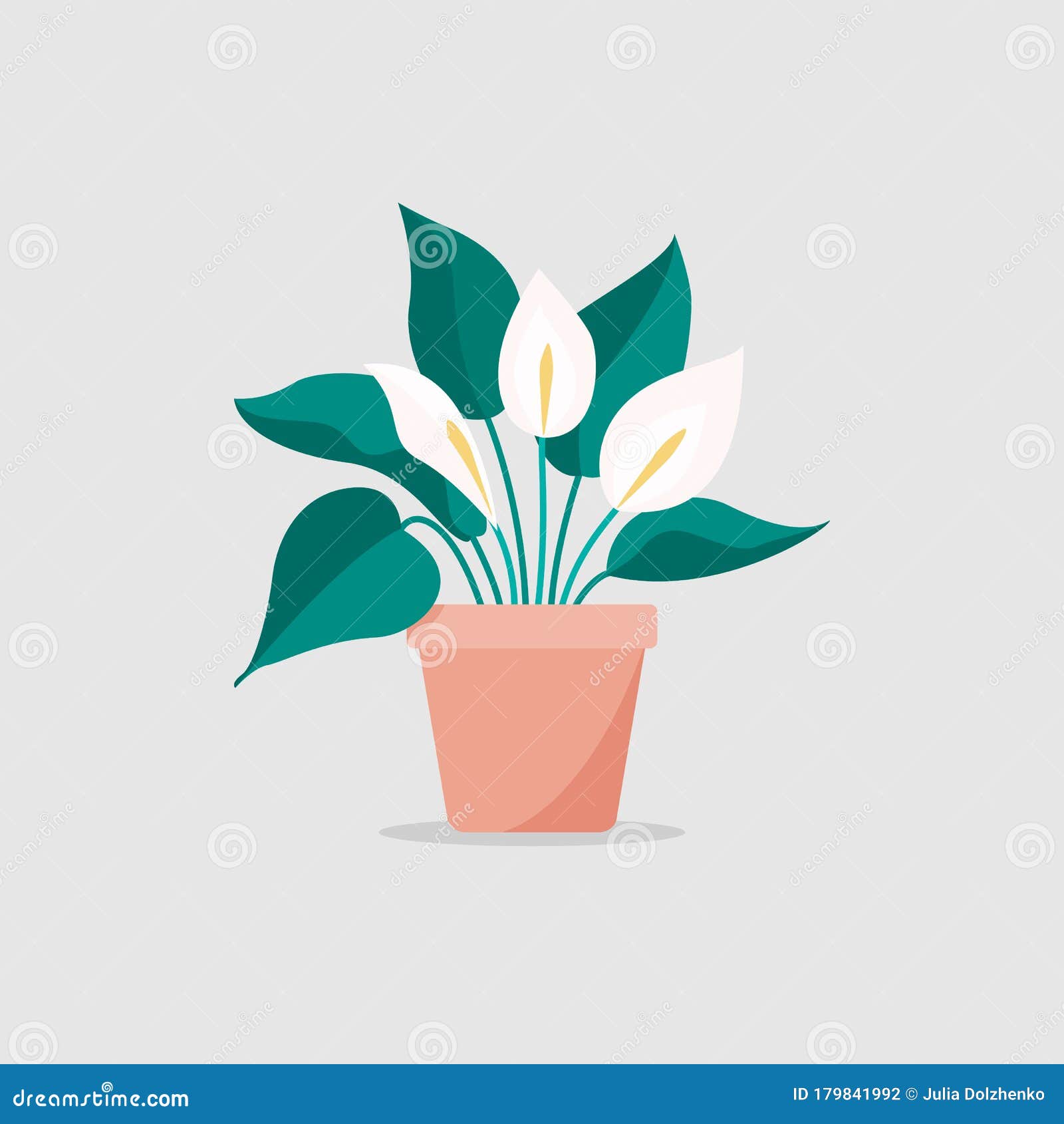 平面插图种植室内平和百合向量例证 插画包括有叶子 室内 植物群 花卉 徽标 庭院 绿色