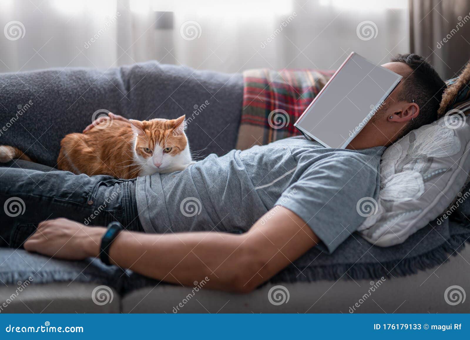 年轻人在沙发上睡觉 脸上挂着书一只白棕色的猫躺在幼鸟的上面库存图片 图片包括有胸口 国内 年轻人在沙发上睡觉 脸上挂着书一只白棕色的猫躺在幼鸟的上面库存图片 图片包括有胸口 国内