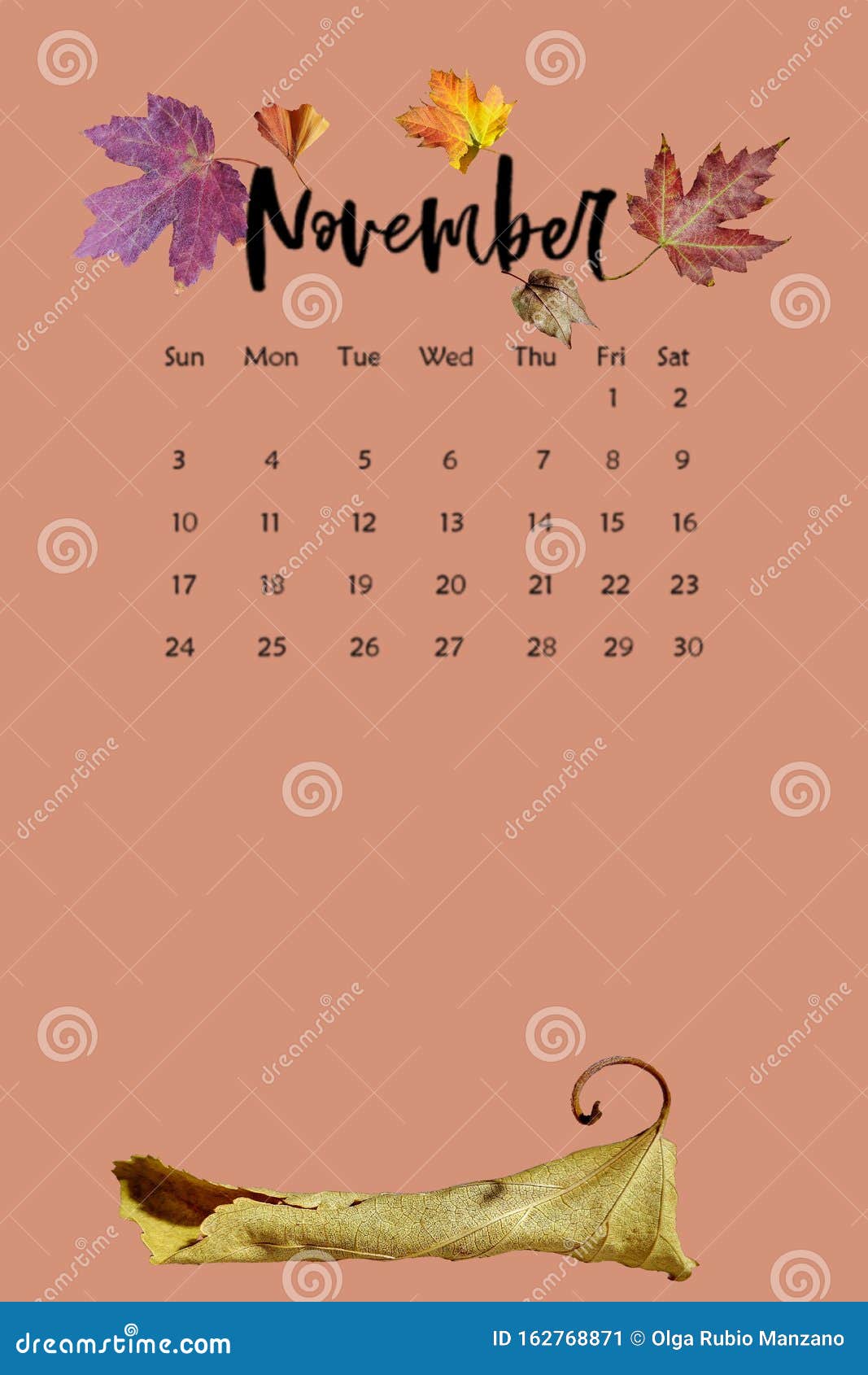 19年11月秋叶彩色背景日历库存图片 图片包括有19年11月秋叶彩色背景日历