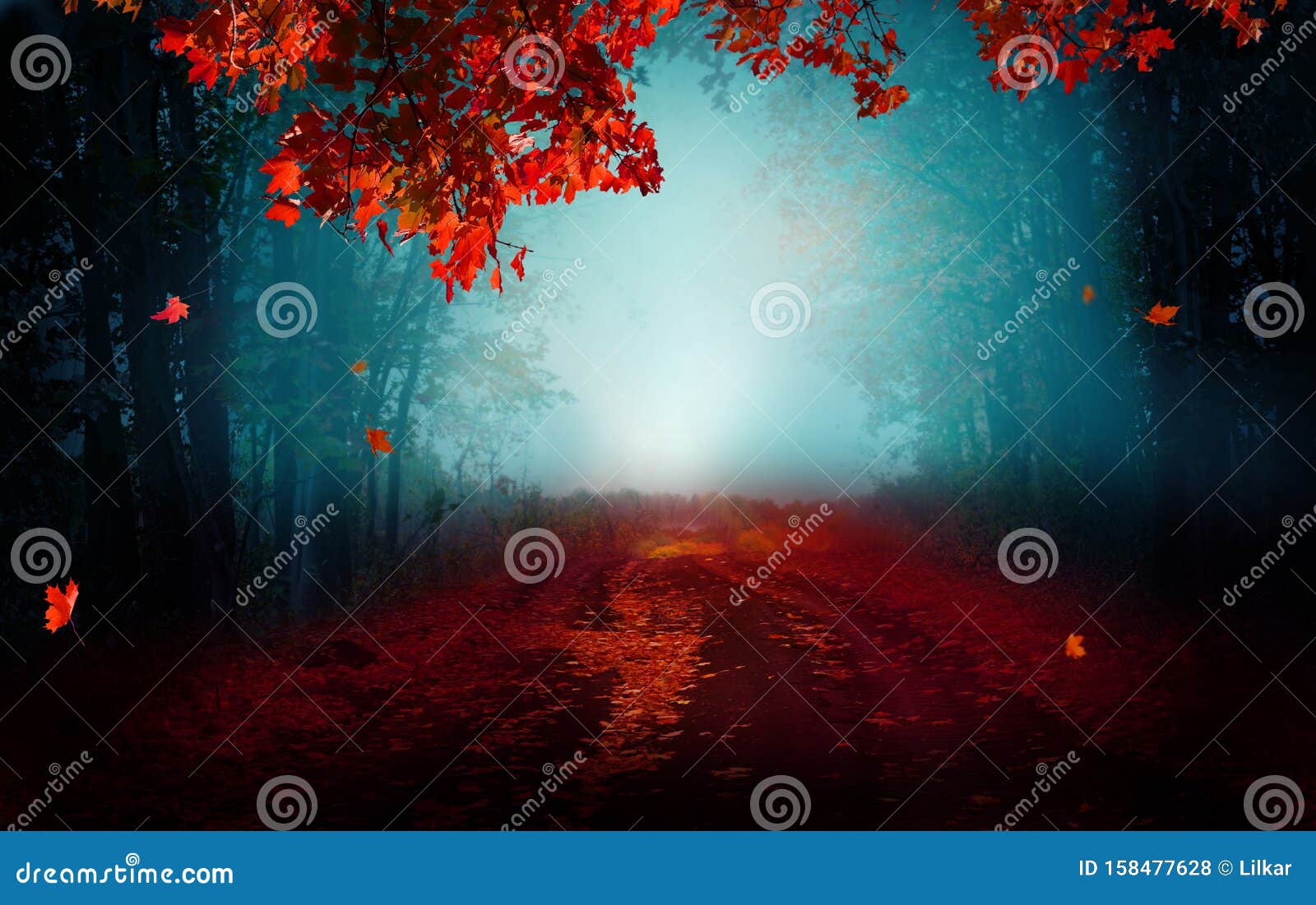 幻想背景魔法森林美丽的秋季风景库存照片 图片包括有魔法森林美丽的秋季风景 幻想背景
