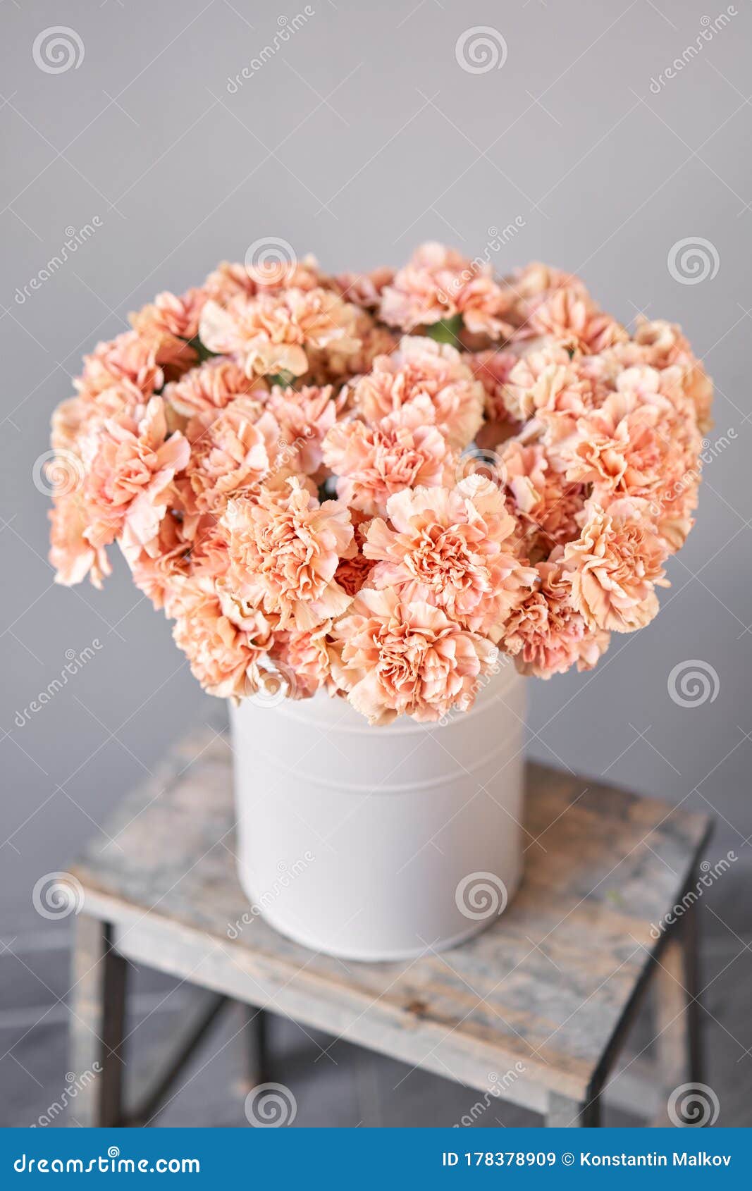 康乃馨花桃色弹簧背景母亲节的丁香礼物库存图片 图片包括有宏指令 详细资料 五颜六色 一堆 康乃馨花桃色弹簧背景母亲节的丁香礼物库存图片 图片包括有宏指令 详细资料 五颜六色 一堆