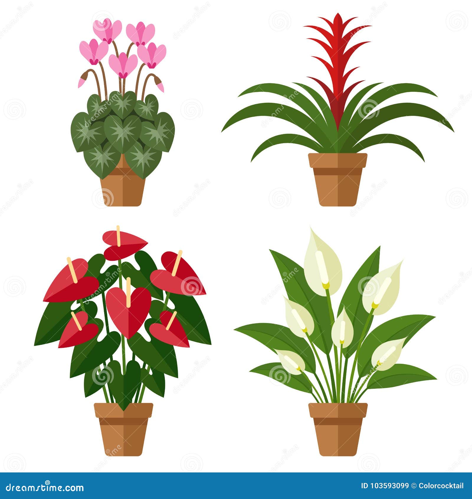 开花的室内花平的样式向量例证 插画包括有仙客来 开花的 样式 家庭 向量 绽放 动画片