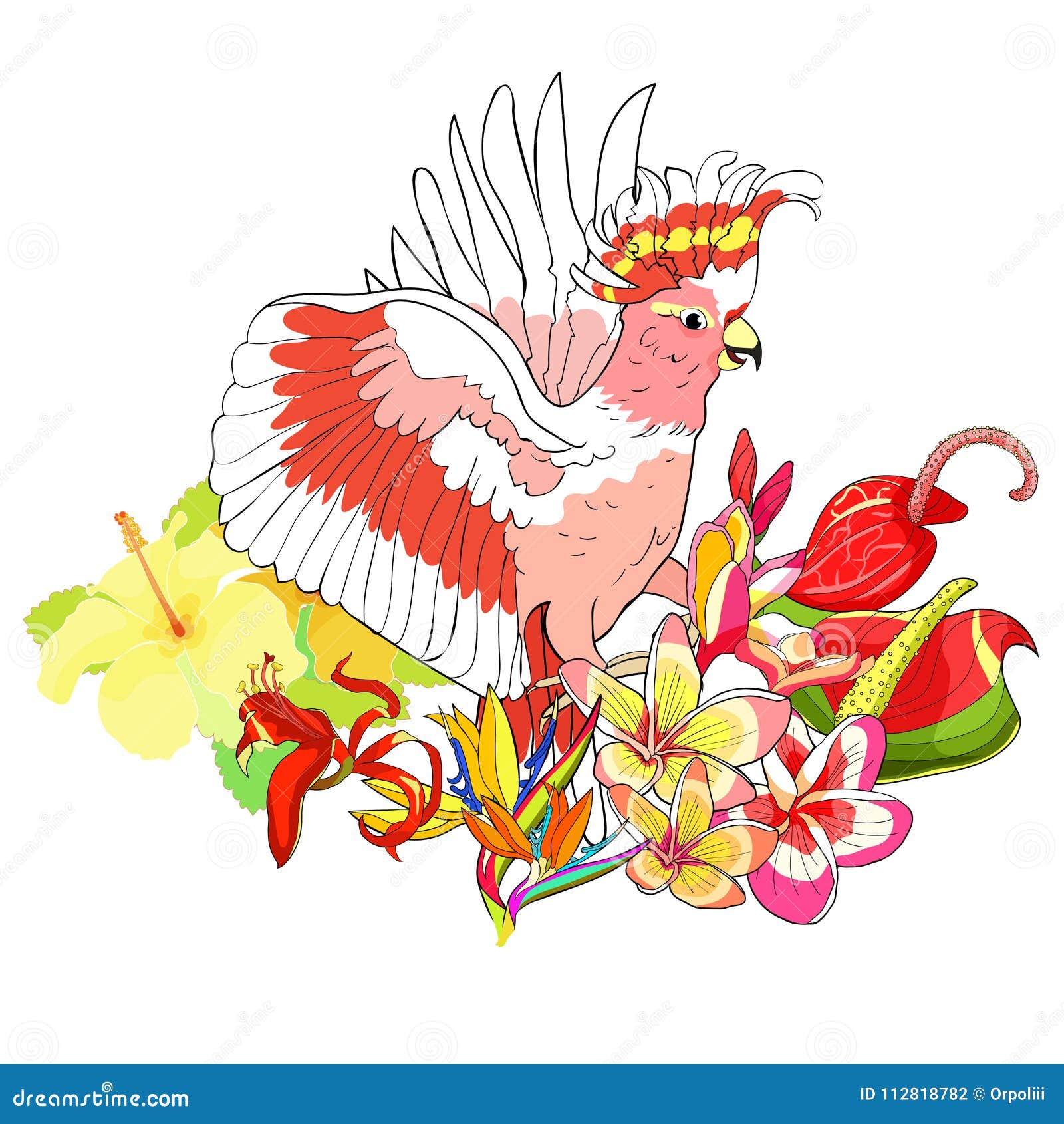 异乎寻常的美冠鹦鹉鹦鹉桃红色印加人鹤望兰 天堂鸟 H 向量例证 插画包括有图标 热带 异乎寻常的美冠鹦鹉鹦鹉桃红色印加人鹤望兰 天堂鸟 H 向量例证 插画包括有图标 热带