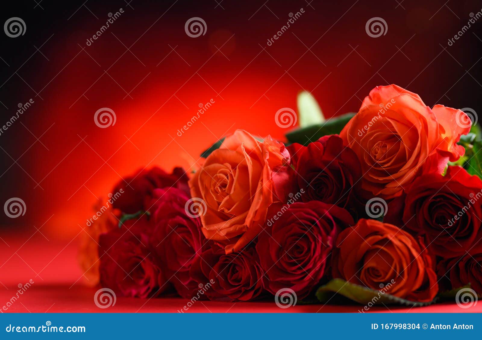 彩色背景上红玫瑰的节日花束 祝贺2月14日情人节爱与浪漫库存照片 图片包括有本质 开花 彩色背景上红玫瑰的节日花束 祝贺2月14日情人节爱与浪漫库存照片 图片包括有本质 开花