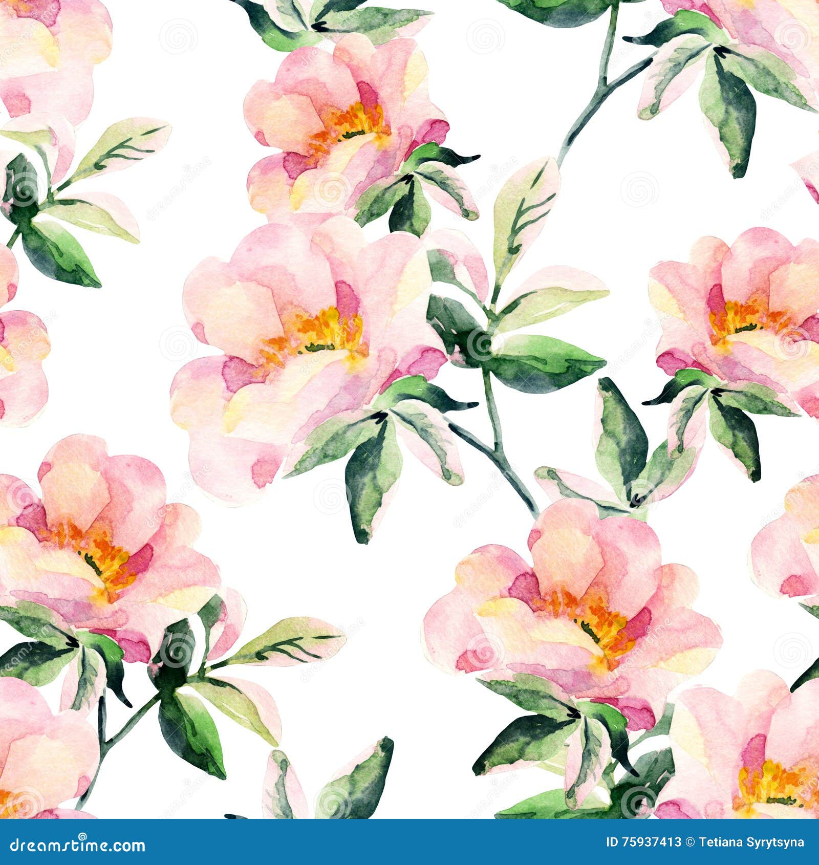 水彩野蔷薇开花无缝的样式狗玫瑰色分支库存例证 插画包括有