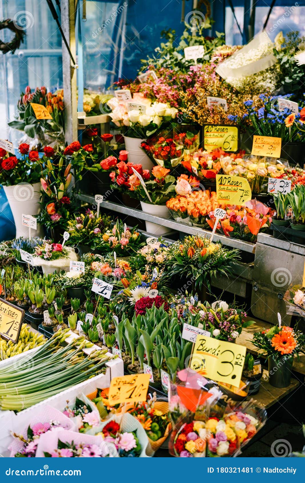 德国慕尼黑 二零一八年三月九日 花店德国花摊花店柜台库存图片 图片包括有花束 新鲜 德国慕尼黑 二零一八年三月九日 花店德国花摊花店柜台库存图片 图片包括有花束 新鲜