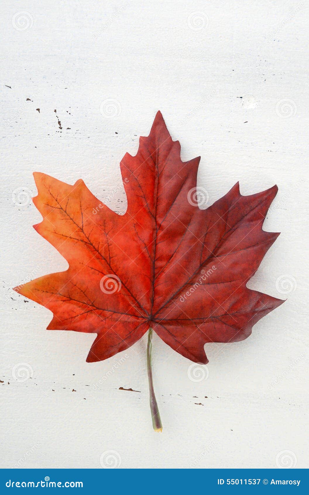 愉快的加拿大日红色丝绸枫叶库存图片. 图片包括有生日, 夏天, 喜悦, 标志, 红色, 联邦, 关闭- 55011537