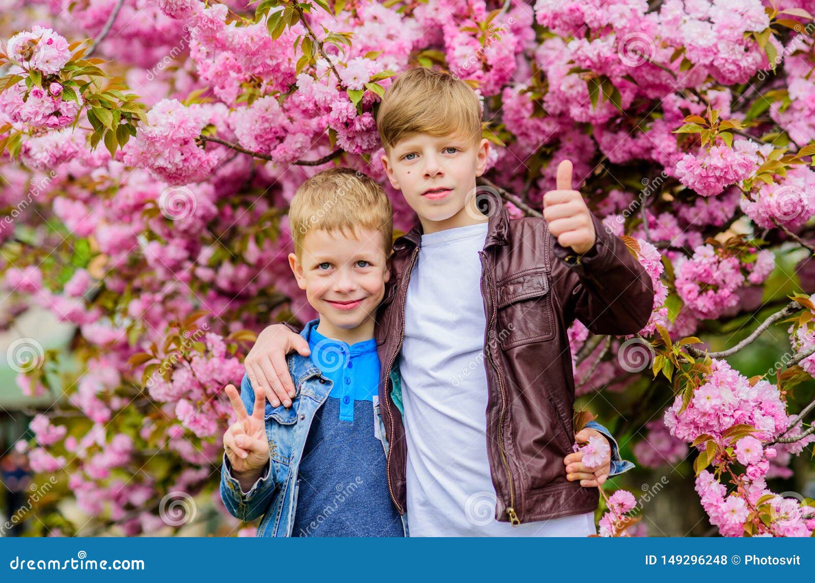 愉快的春天假日r 摆在佐仓附近的男孩孩子反弹佐仓树桃红色花库存照片 图片包括有摆在佐仓附近的男孩 愉快的春天假日