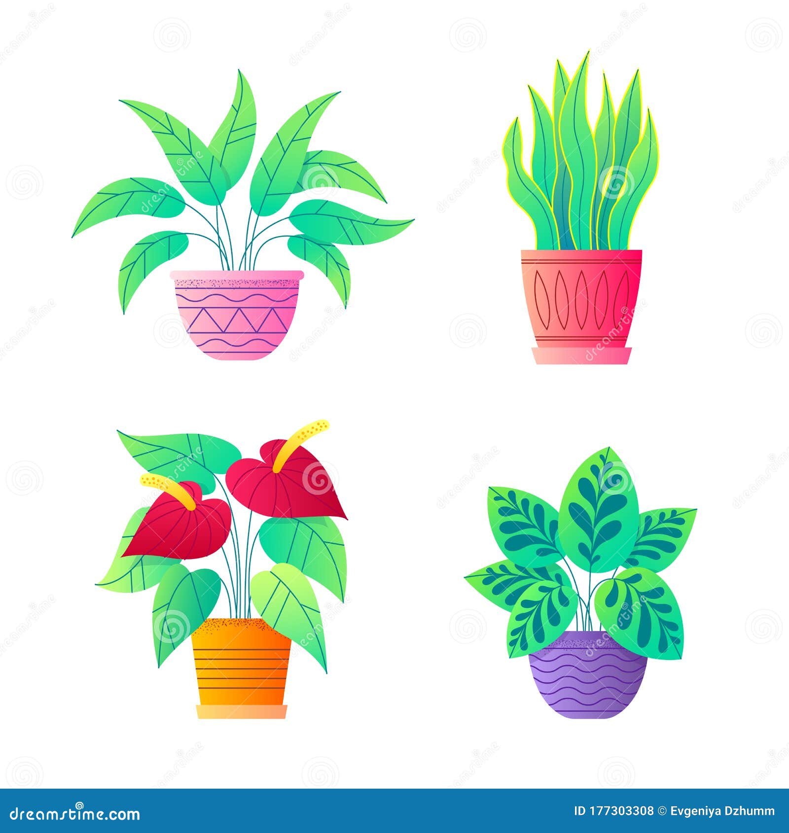 房屋植物矢量图收集和平百合 安祖灵 蛇草室内盆栽花的图标组向量例证 插画包括有本质 和平 房屋植物矢量图收集和平百合 安祖灵 蛇草室内盆栽花的图标组向量例证 插画包括有本质 和平