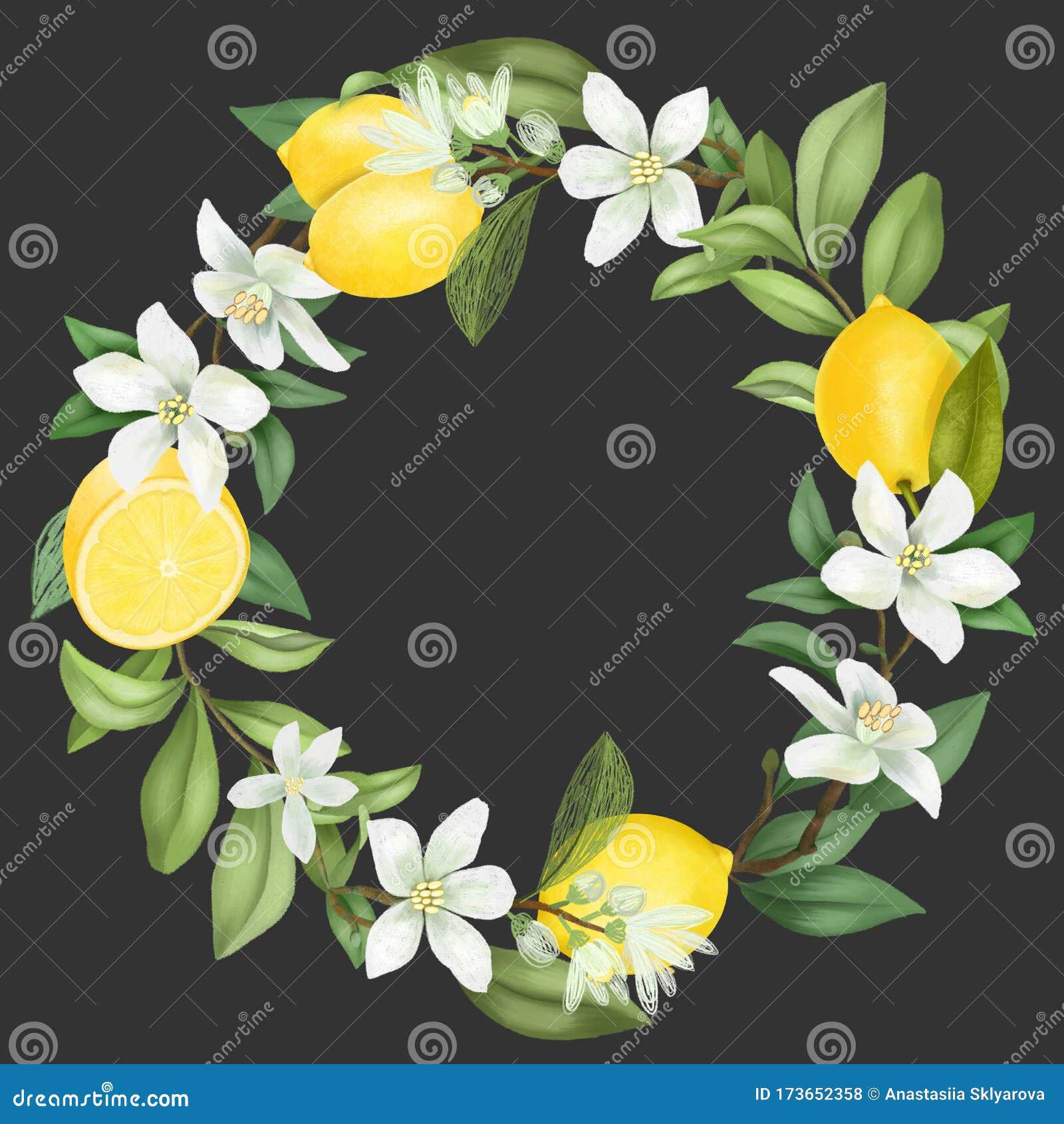 手拉花圈 开花柠檬树枝 柠檬花和柠檬库存例证 插画包括有查出 现有量 模板 装饰 看板卡