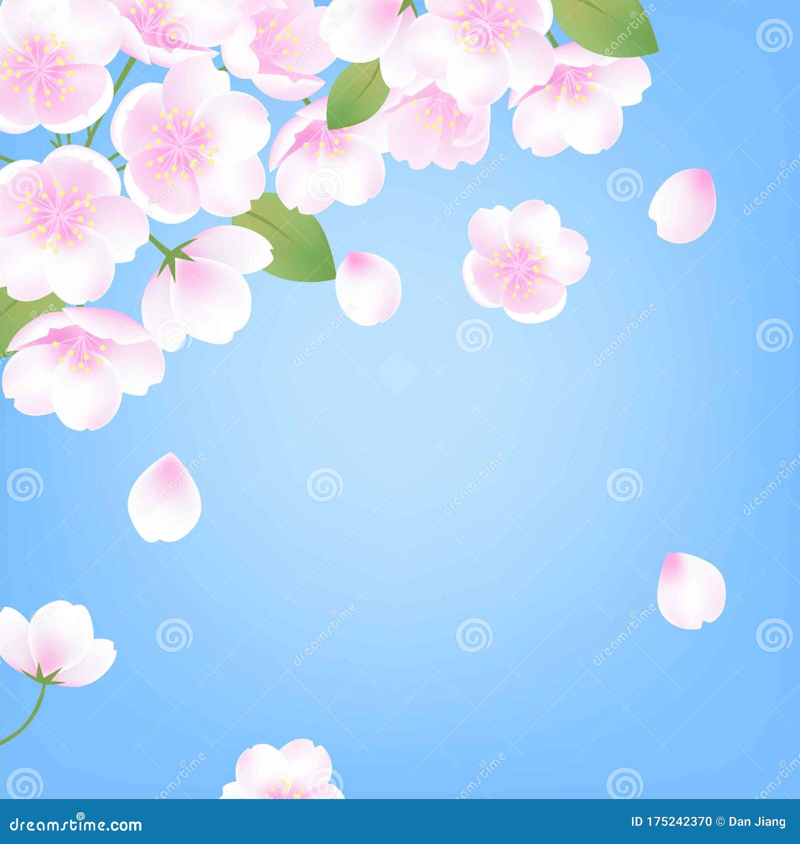 手绘春桃花樱白花植物蓝色背景矢量图插图向量例证 插画包括有春天 开花 现有量 空白 叶子 手绘春桃花樱白花植物蓝色背景矢量图插图向量例证 插画包括有春天 开花 现有量 空白 叶子