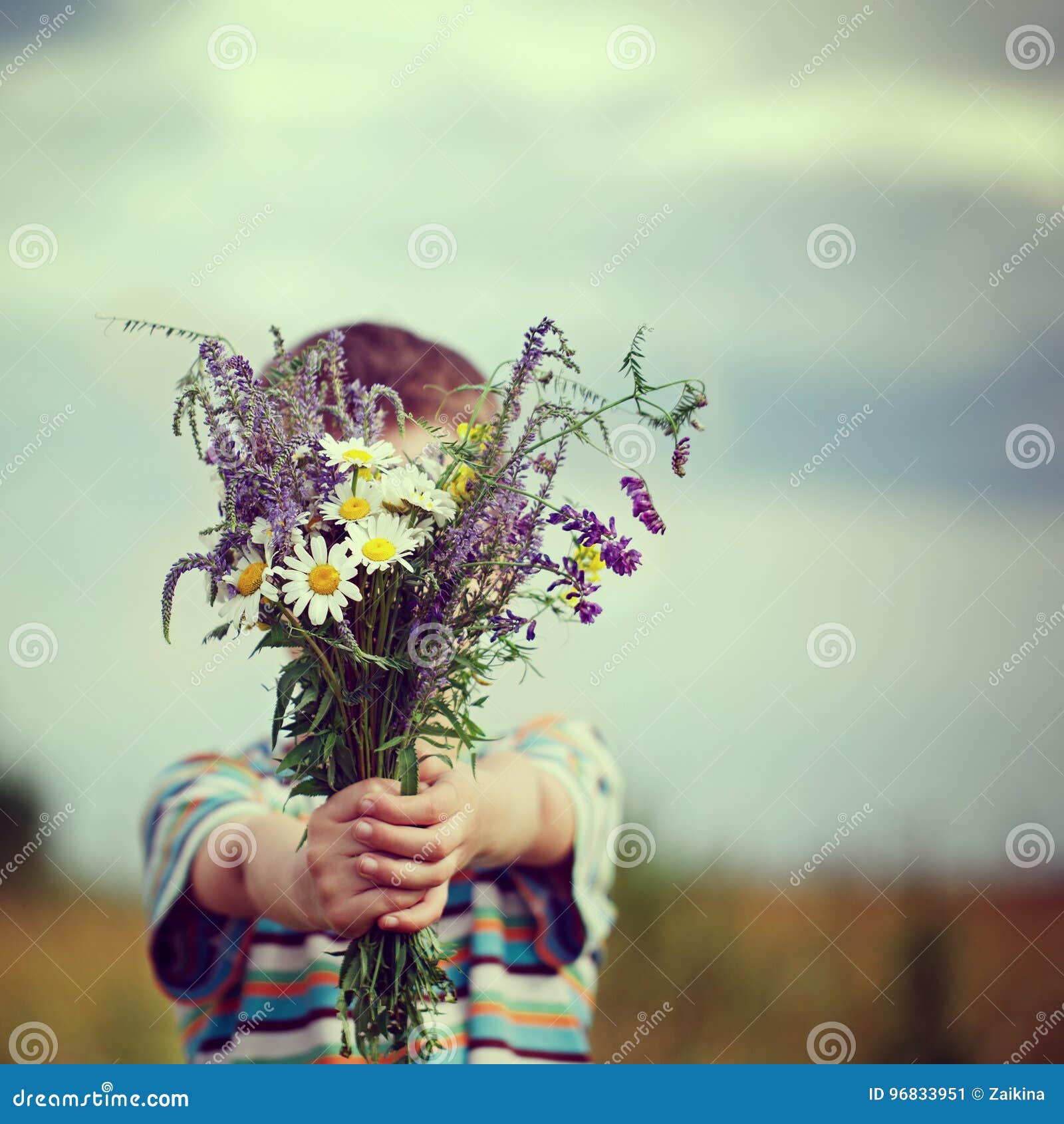 拿着领域的花束小孩男孩开花给花的孩子库存图片 图片包括有童年 子项 背包 犰狳 系列 礼品