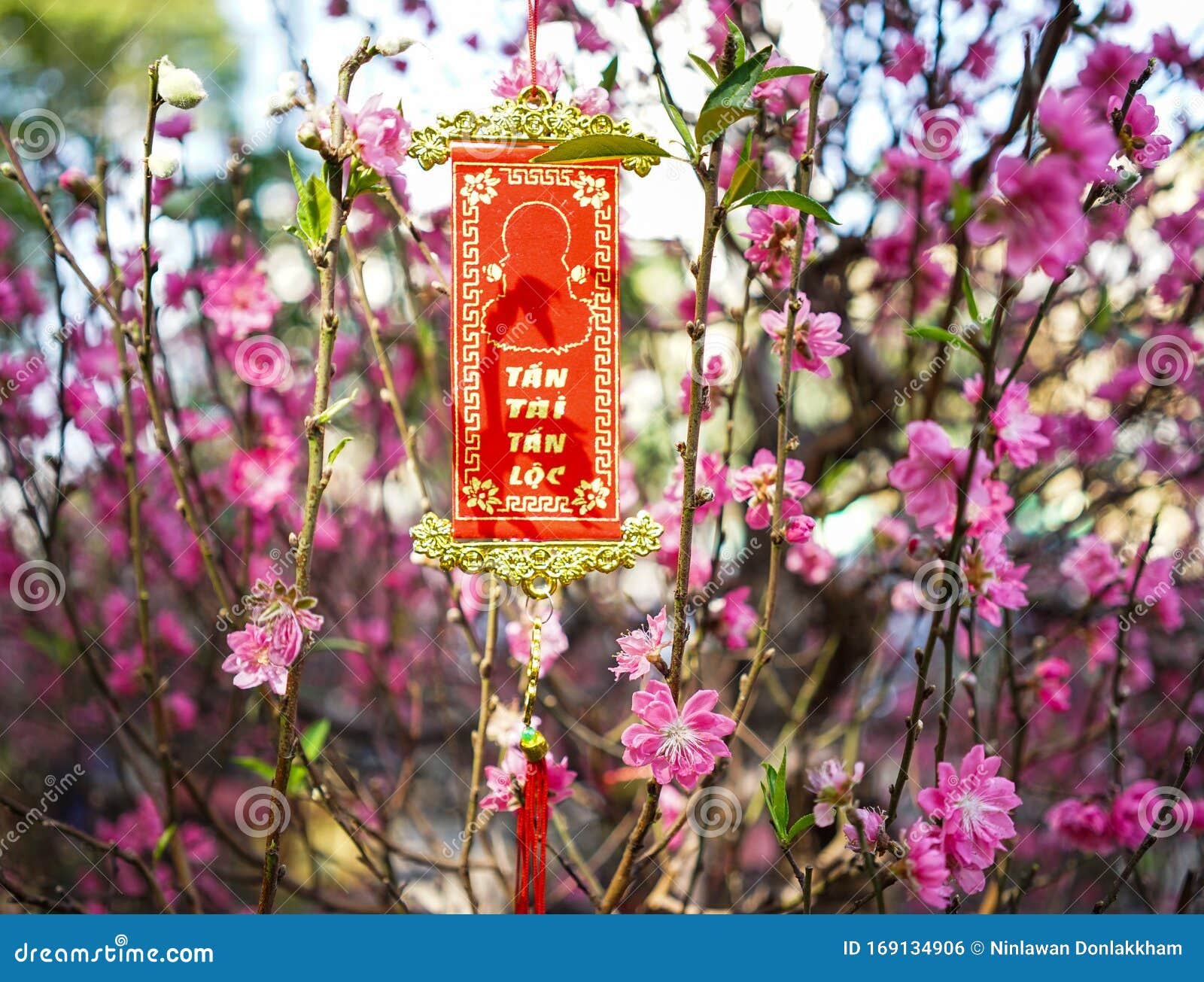 挂红幸运纸的桃花库存照片 图片包括有开花 节日 日本 汉语 桃子 绽放 背包 聚会所 挂红幸运纸的桃花库存照片 图片包括有开花 节日 日本 汉语 桃子 绽放 背包 聚会所