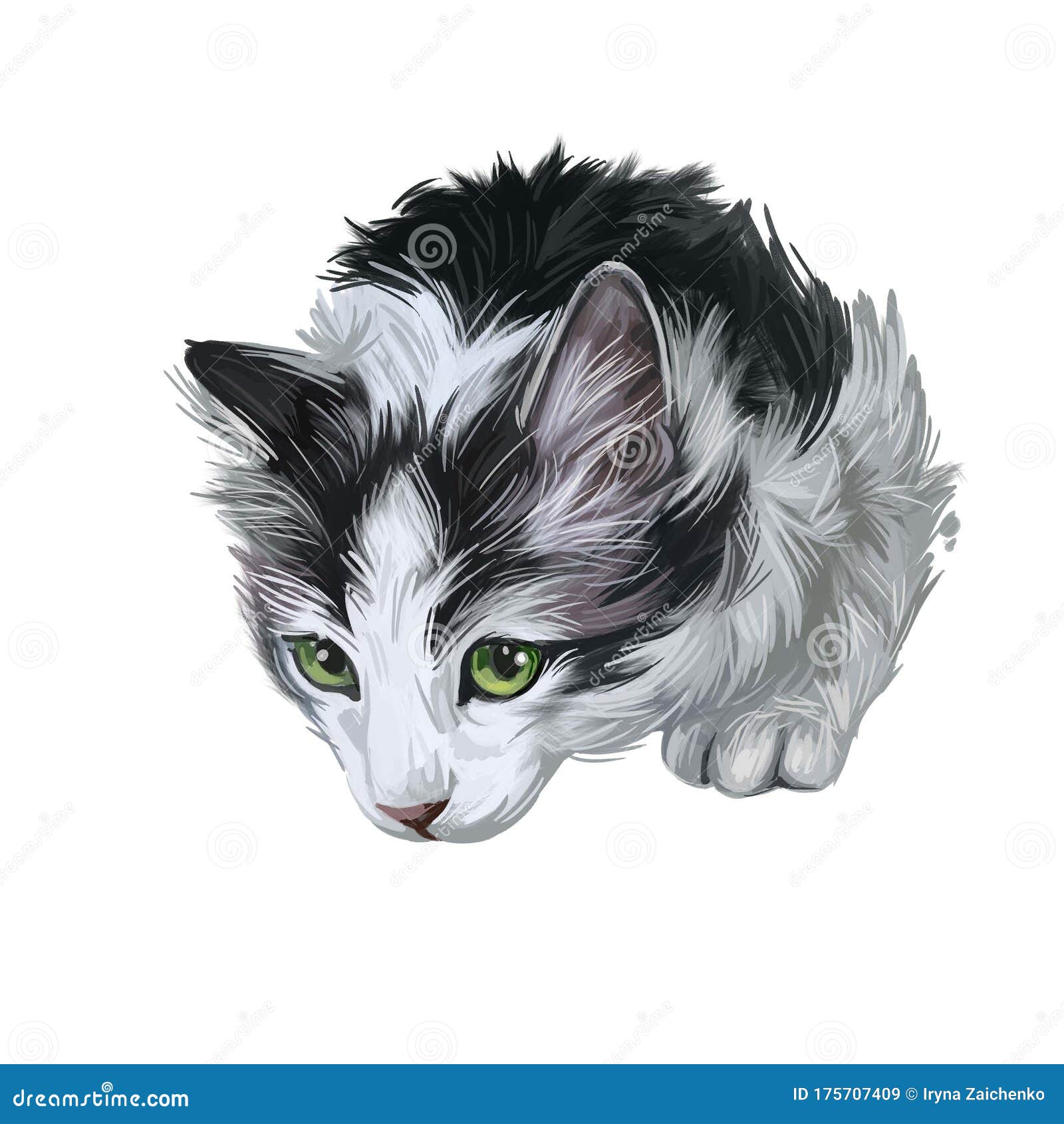 挪威森林小猫数字艺术插图诺斯克 斯考卡特或斯考卡特的水彩画像小猫的写实画库存例证 插画包括有诺斯克 斯考卡特或斯考卡特的水彩画像 挪威森林小猫数字艺术插图 挪威森林小猫数字艺术插图诺斯克 斯考卡特或斯考卡特的水彩画像小猫的写实画库存例证 插画包括有诺斯克 斯考卡特或斯考卡特的水彩画像 挪威森林小猫数字艺术插图