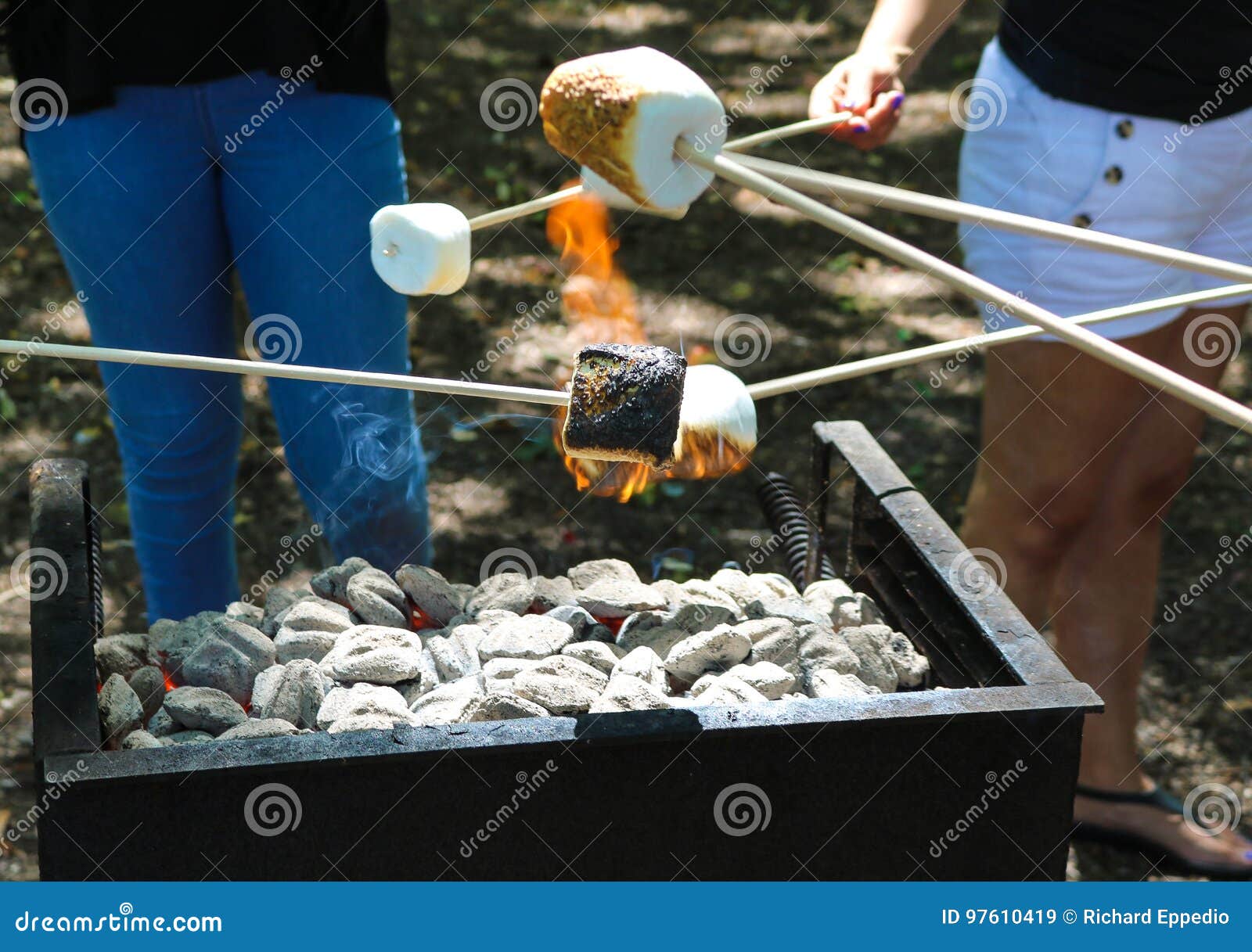 敬酒在bbq格栅的蛋白软糖在公园库存图片 图片包括有 敬酒在bbq格栅的蛋白软糖在公园库存图片 图片包括有