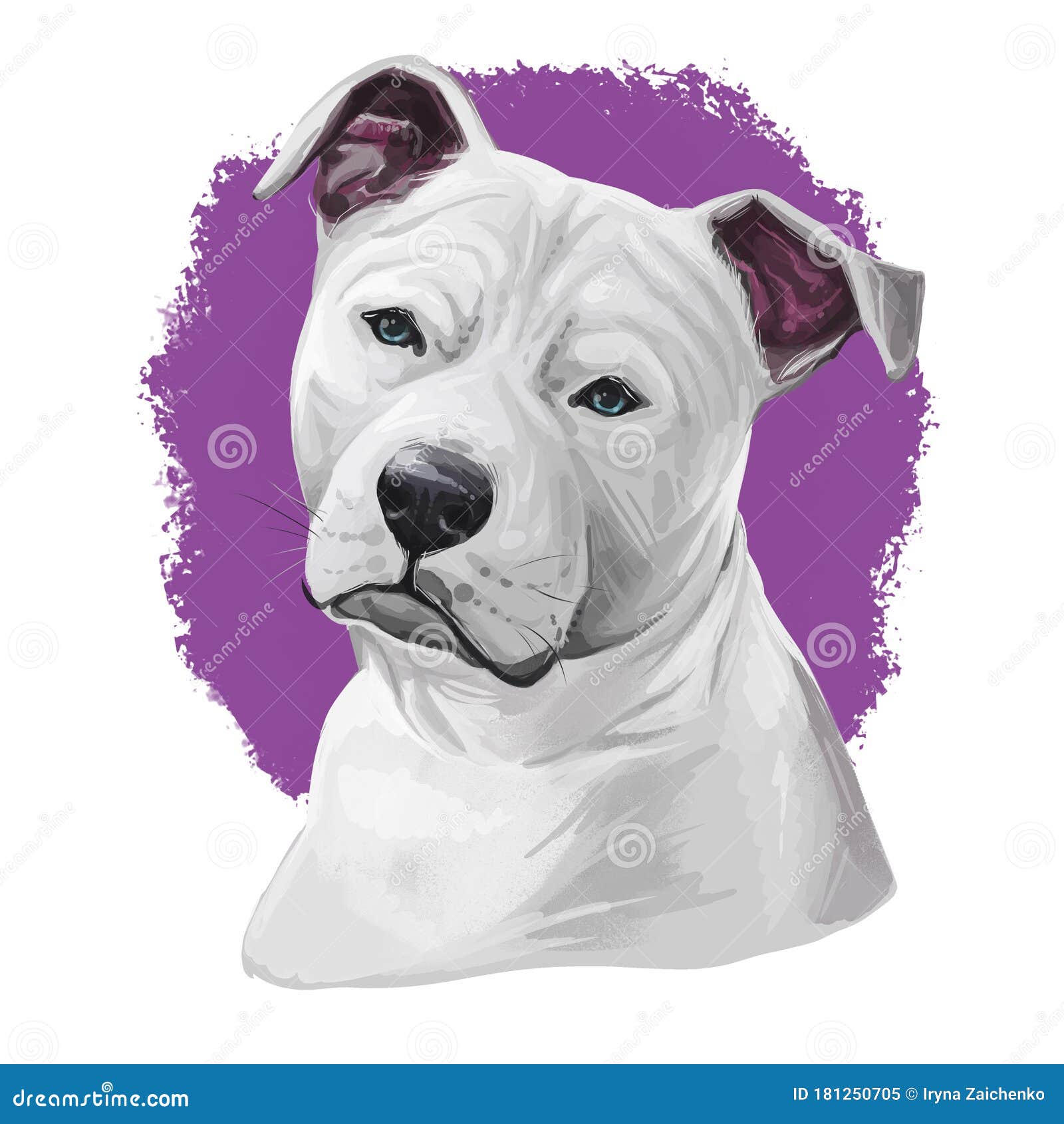 斯塔福德郡斗牛犬斯塔菲 种着短发白色狗数字艺术动物水彩画库存例证 插画包括有家谱 查出