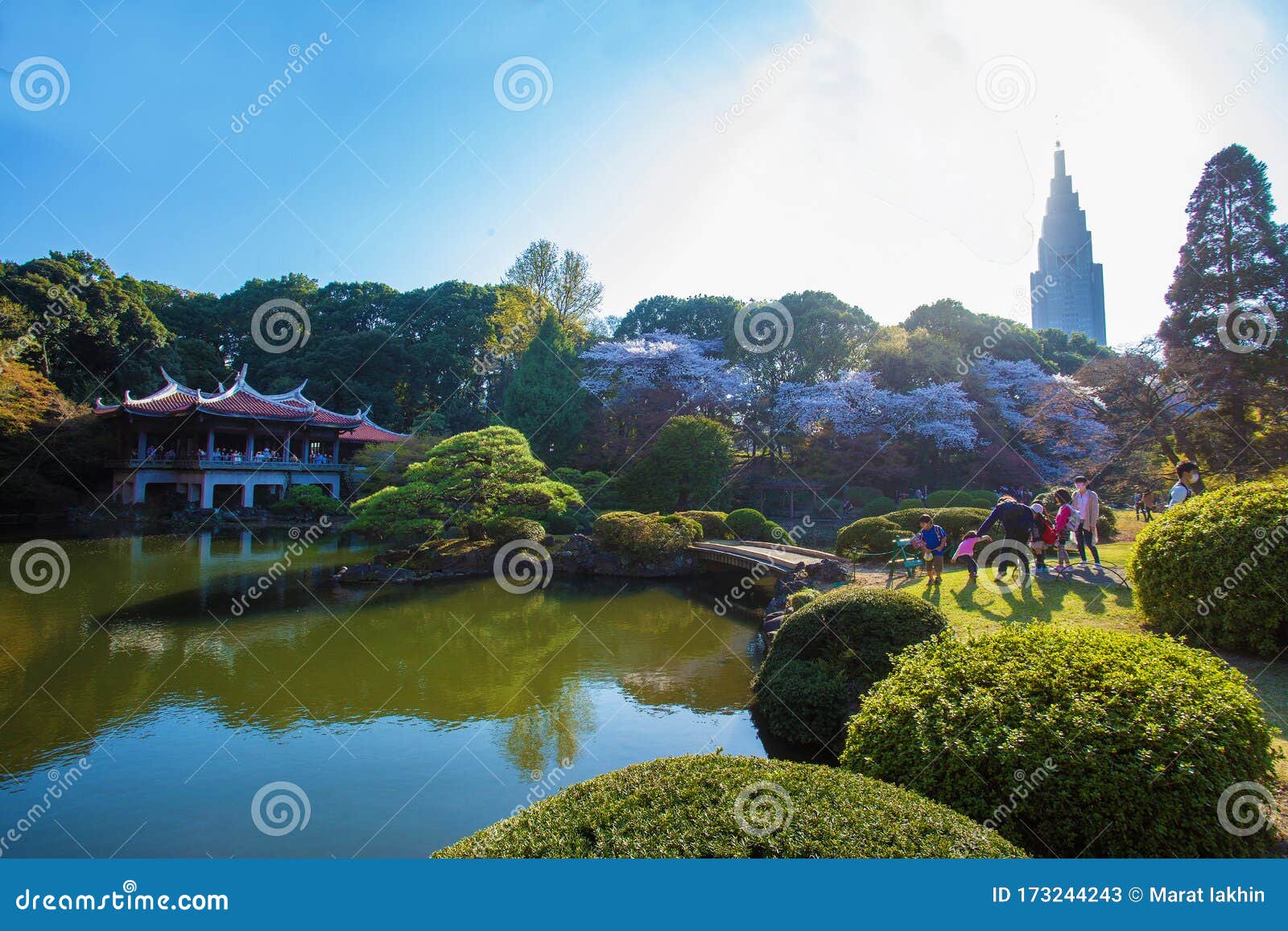 新宿御苑樱花节庆编辑类库存照片 图片包括有开花 庭院 社论 本质 结构树 春天 都市风景
