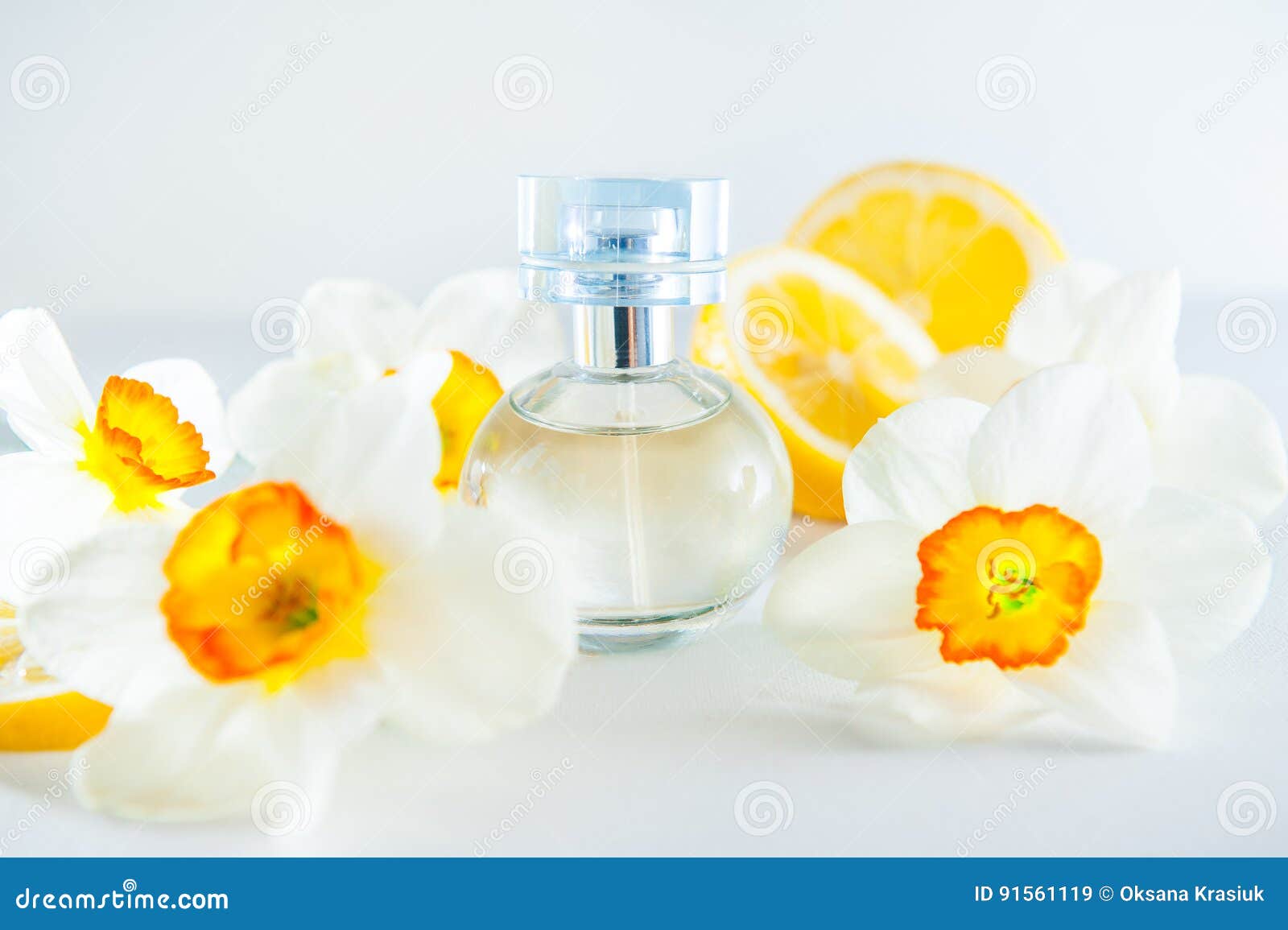 新鲜的黄水仙花和柠檬切片围拢的圆香水瓶隔绝在白色背景黄色颜色concep 库存图片 图片包括有气味 柠檬 新鲜的黄水仙花和柠檬切片围拢的圆香水瓶隔绝在白色背景黄色颜色concep 库存图片 图片包括有气味 柠檬