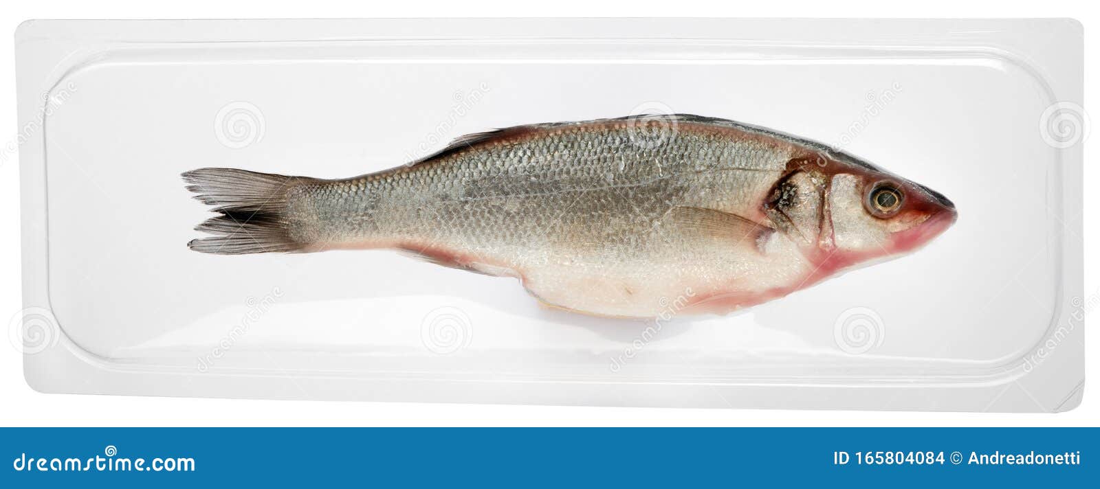 新鲜真空包装全海鲈鱼库存照片 图片包括有全部 食物 包装 清洗 航空 存贮 真空 视图