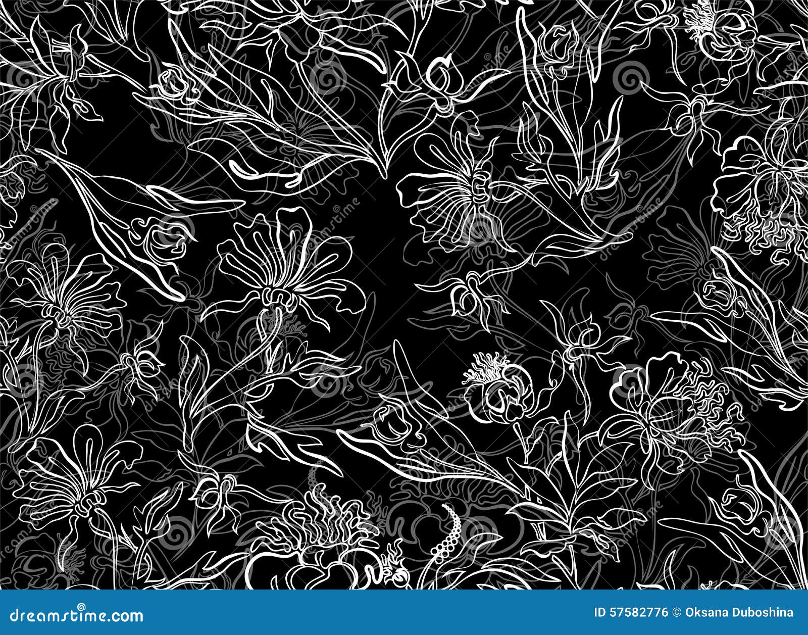 无缝的黑花背景库存例证 插画包括有杂种 例证 装饰 详细 设计 叶子 卷毛 构成 庭院