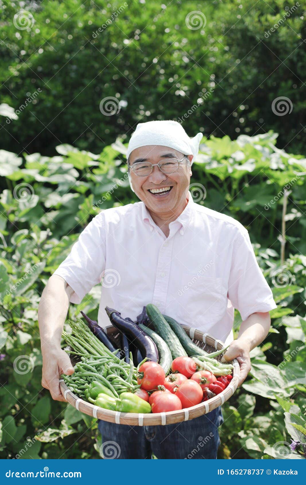 日本中产 在家庭花园里收割夏菜库存图片 图片包括有日本中产 在家庭花园里收割夏菜