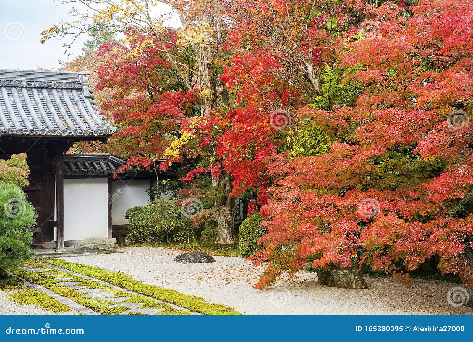 日本京都公园秋景库存图片 图片包括有美丽如画 莲花 红色 传统 旅行 森林 京都 贿赂