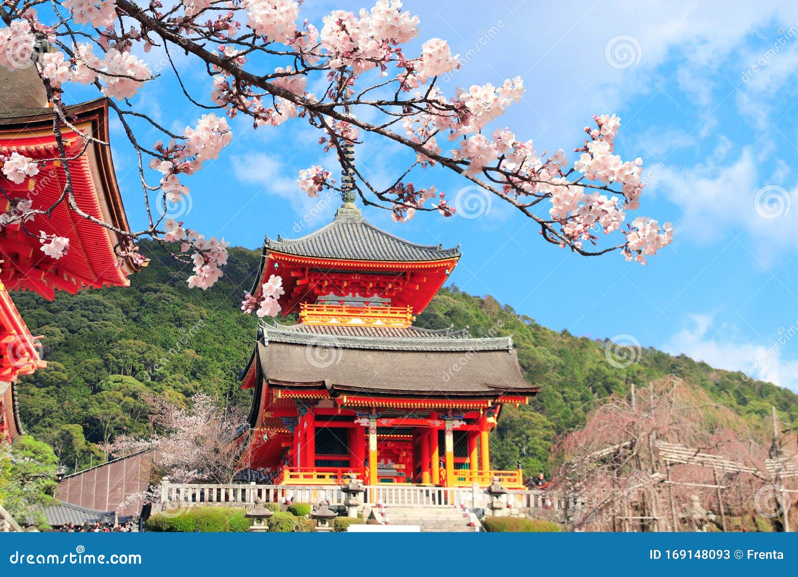 日本京都清水寺樱花库存图片 图片包括有行军 镇痛药 樱桃 季节性 季节 著名 发芽 日本京都清水寺樱花库存图片 图片包括有行军 镇痛药 樱桃 季节性 季节 著名 发芽