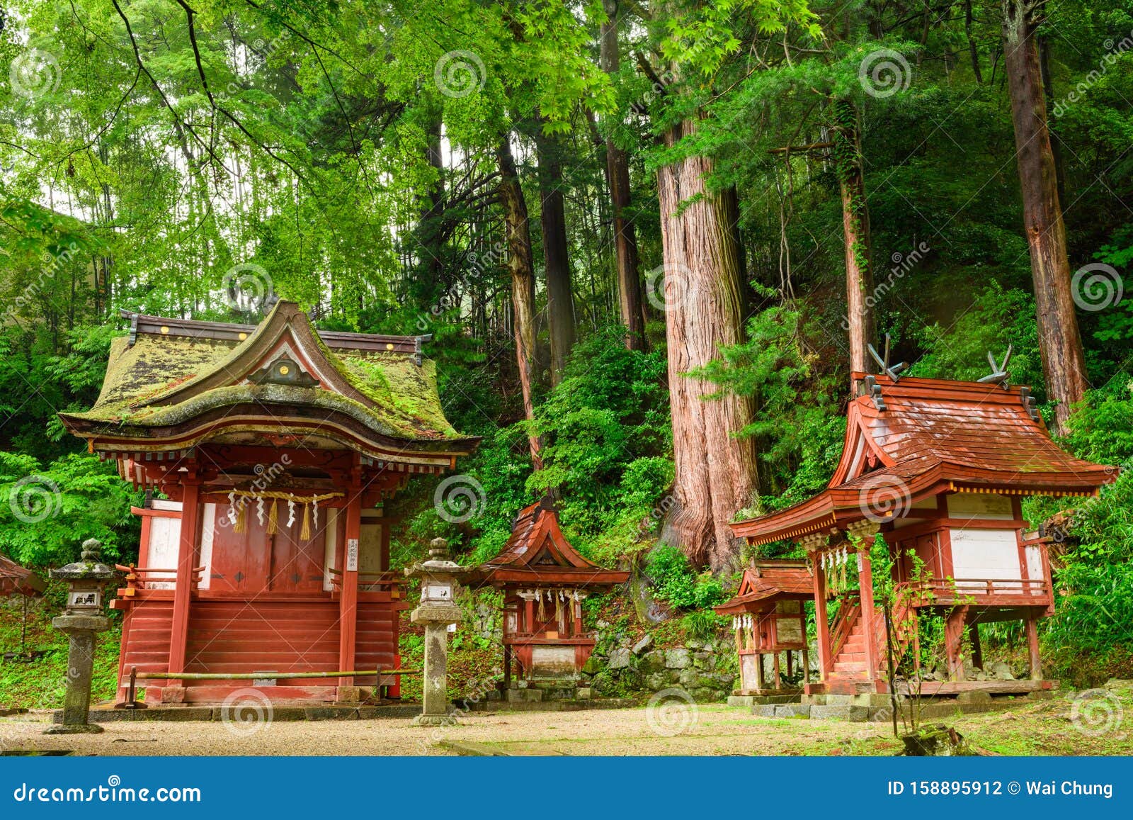日本奈良市坦赞神社林地小庙图库摄影片 图片包括有