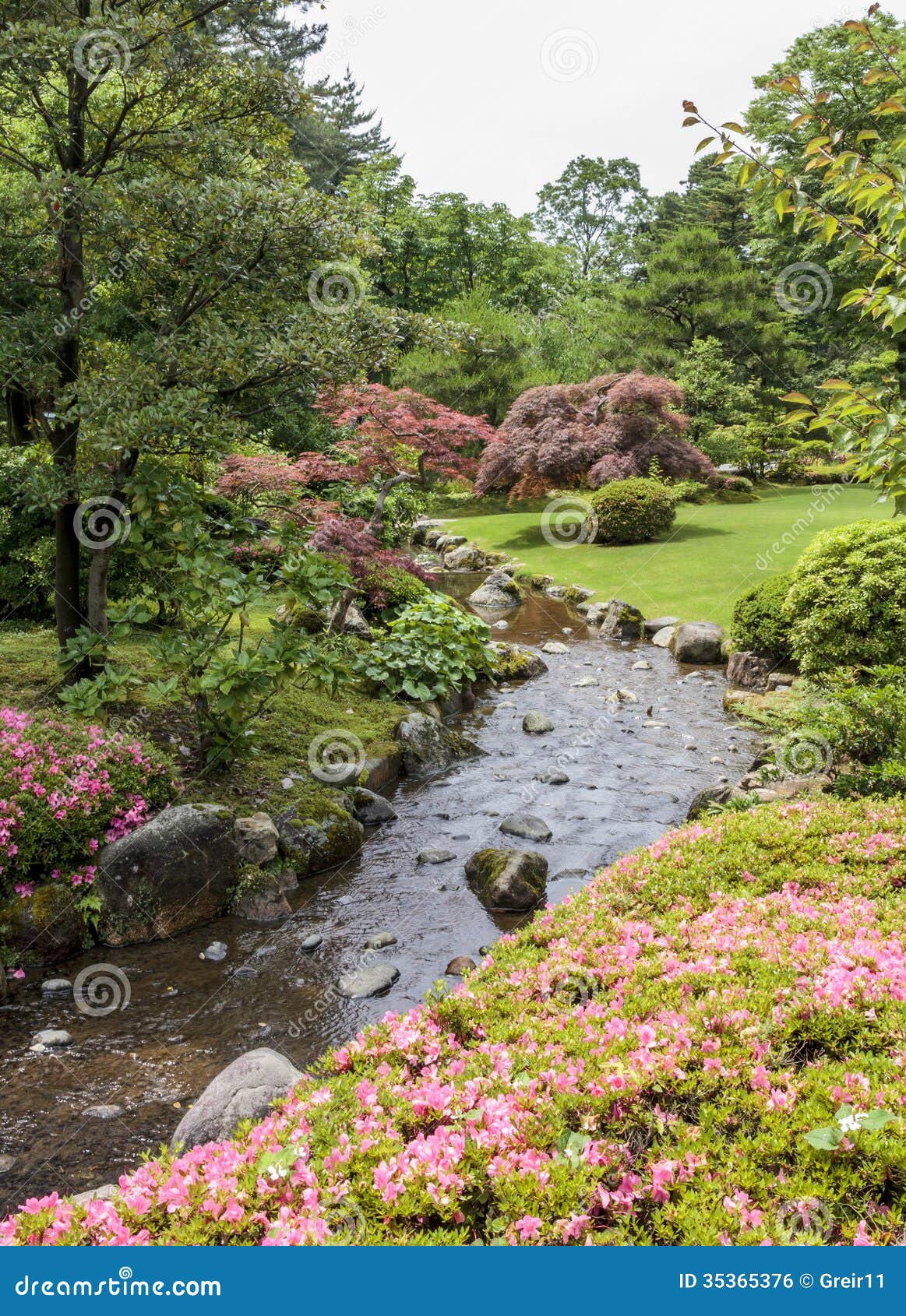 日本庭院的片段有小河 桃红色花和枫树的库存照片 图片包括有日语 结构树 装饰 高亮度显示 东方