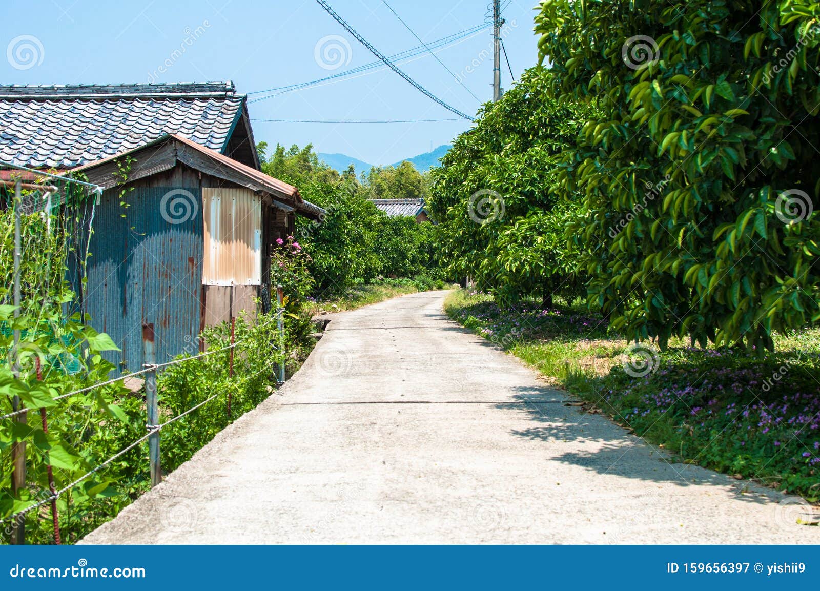 日本村库存图片 图片包括有日本村 日本村库存图片 图片包括有日本村