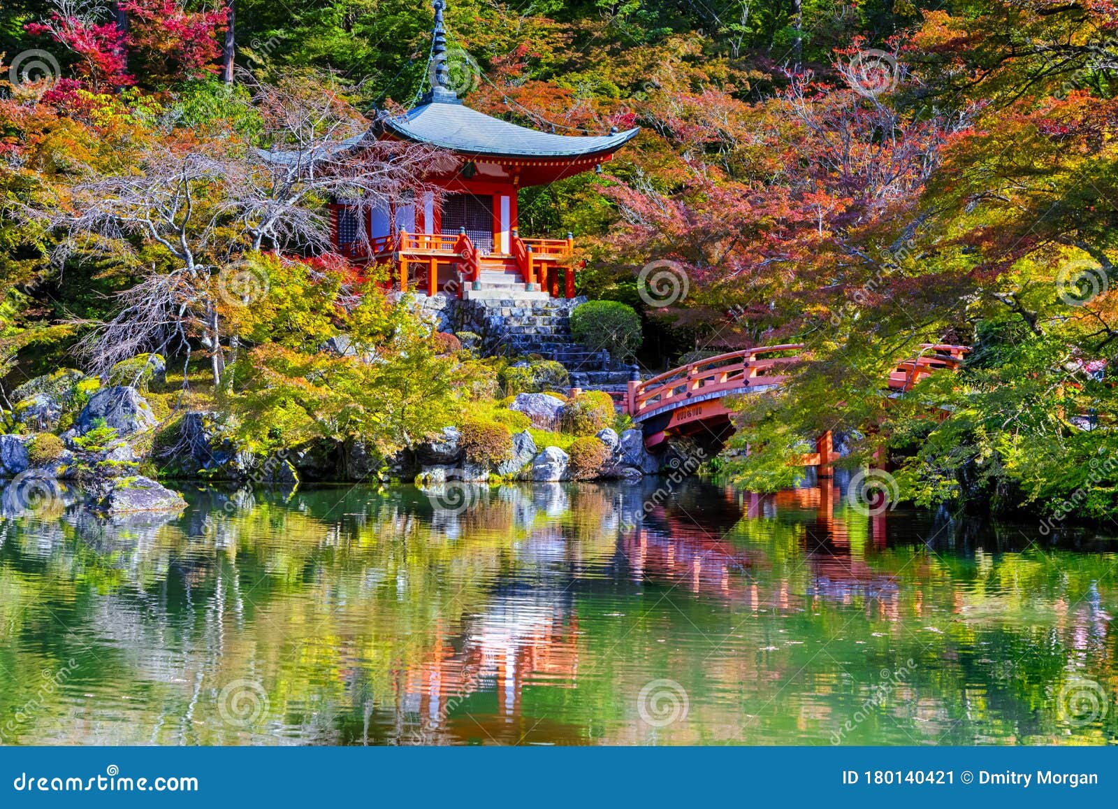 日本遗产日本京都市秋季红枫时代的宁静大后寺带池塘库存图片 图片包括有红色 自治权 槭树