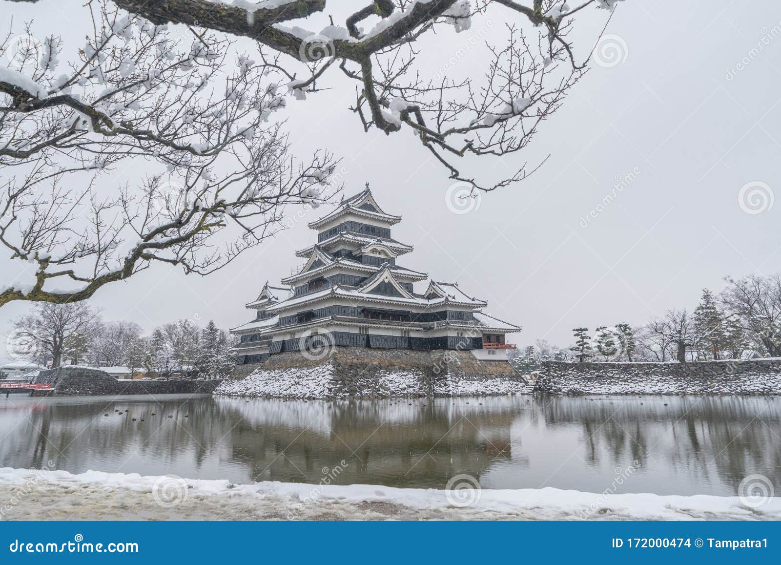 日本长野市冬季松本城树枝雪旅游建筑景观背景库存照片 图片包括有旅游建筑景观背景 日本长野市冬季松本城树枝雪