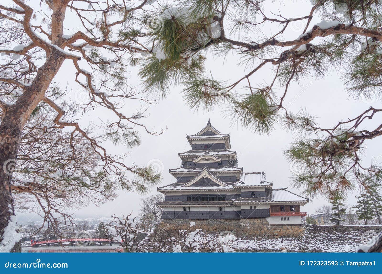 日本长野市冬季松本城树枝雪旅游建筑景观背景库存图片 图片包括有旅游建筑景观背景 日本长野市冬季松本城树枝雪