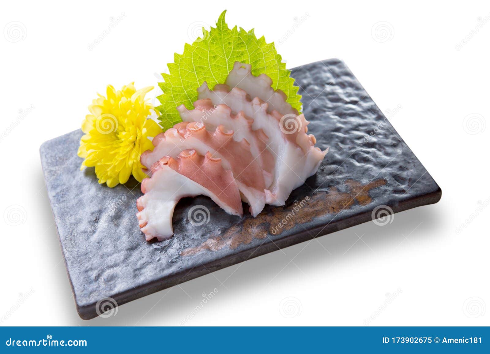日本食章鱼刺身库存图片 图片包括有食物 没人 本质 文化 新鲜 特写镜头 正餐 日本