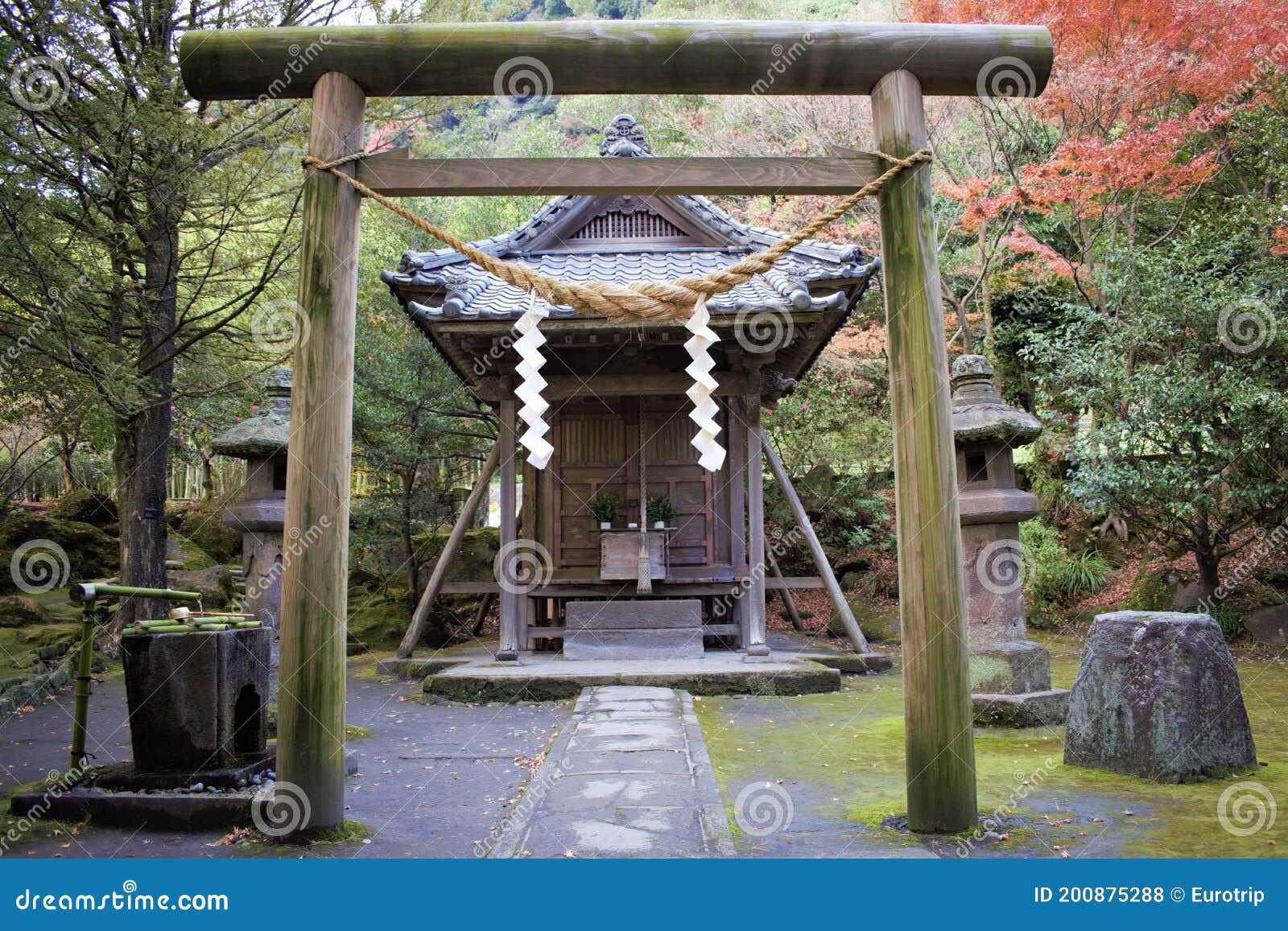 日本鹿儿岛森林中的鸟居神庙门库存照片 图片包括有工厂 中国 佛教 日本之神道教 户外 石头 日本鹿儿岛森林中的鸟居神庙门库存照片 图片包括有工厂 中国 佛教 日本之神道教 户外 石头