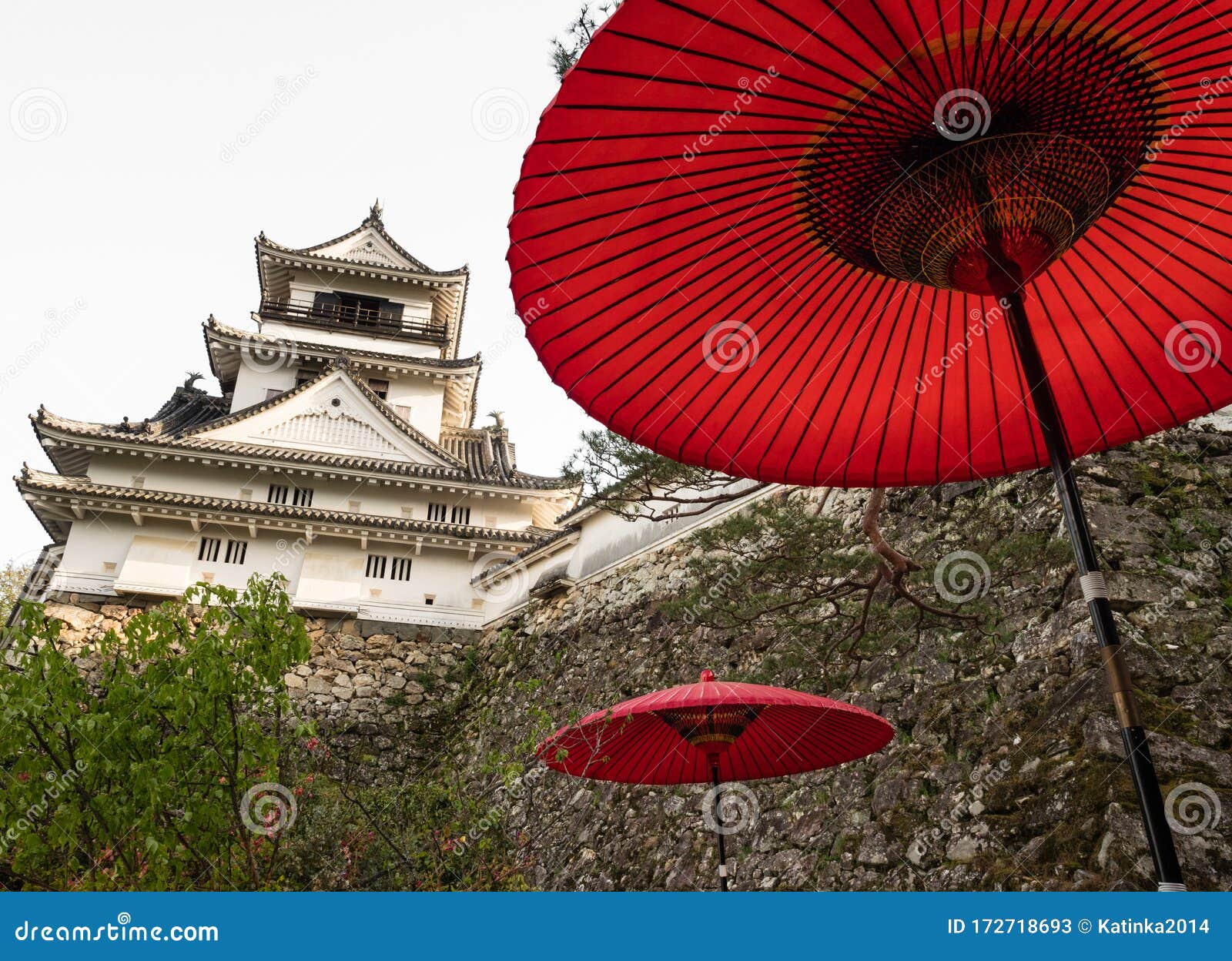 日本12座江户古堡之一 高知城的红色装饰纸伞编辑类库存照片 图片包括有保留 传统 遗产 日语