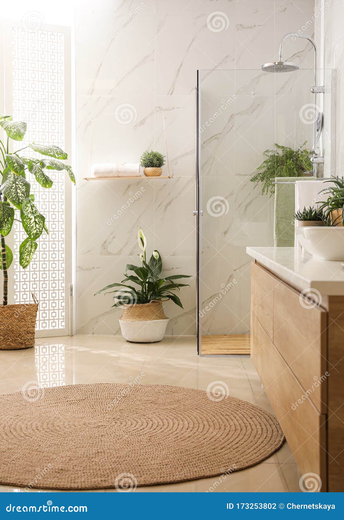 时尚的浴室内配有台面 淋浴间和家居植物库存照片 图片包括有家具 生活方式 增长 植物群 背包 时尚的浴室内配有台面 淋浴间和家居植物库存照片 图片包括有家具 生活方式 增长 植物群 背包