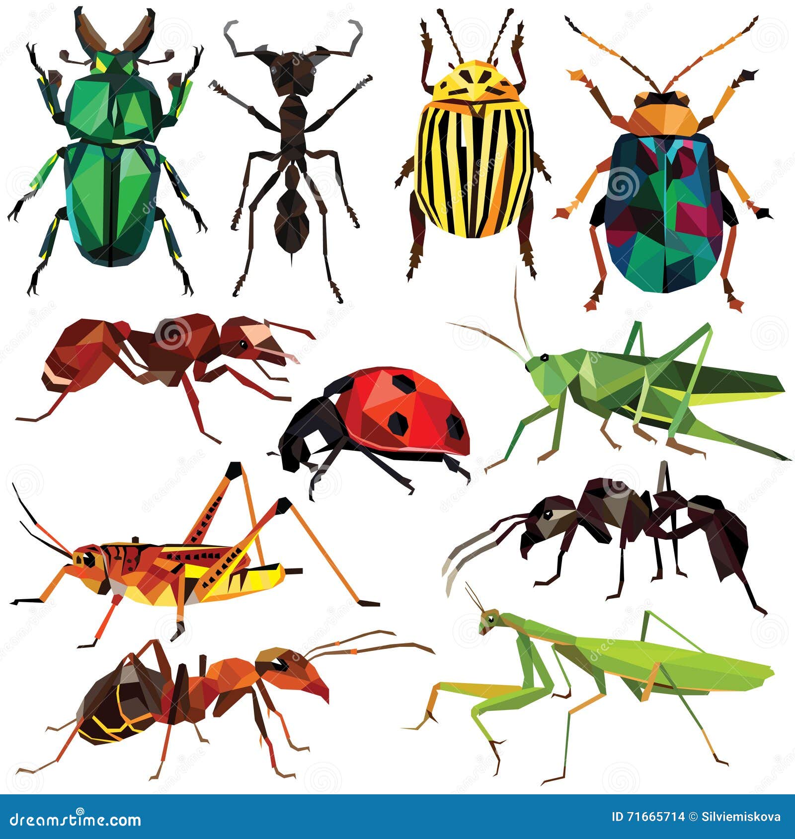 昆虫集合向量例证 插画包括有几何 令人毛骨悚然 装饰 卧室 艺术 设计 的百威 绿色